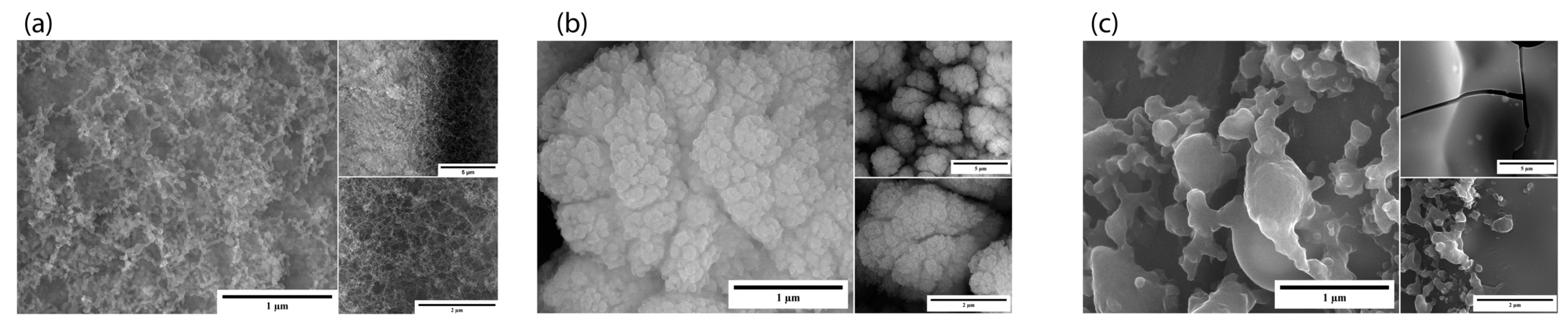 Micromachines 15 00347 g012