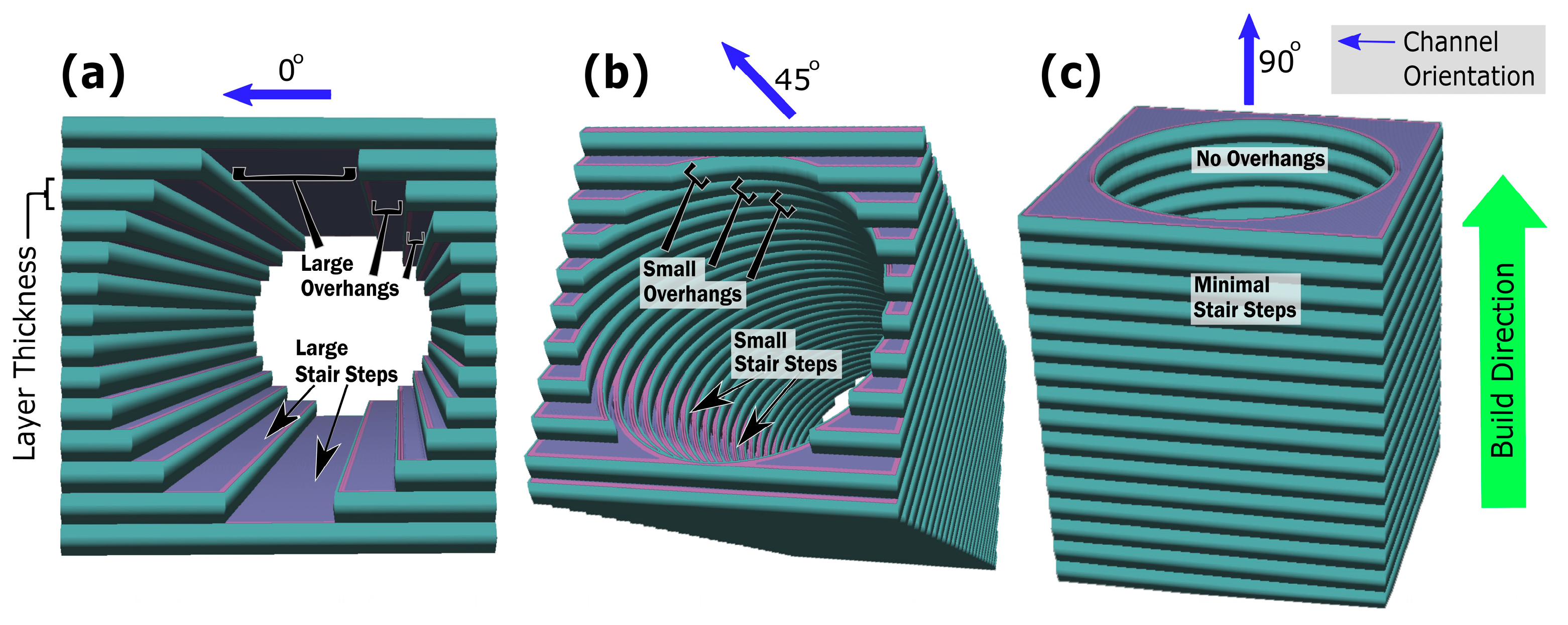 Micromachines 15 00348 g003