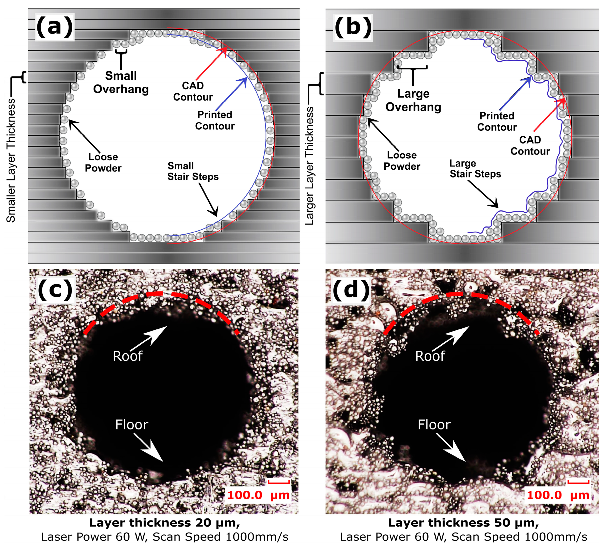 Micromachines 15 00348 g007