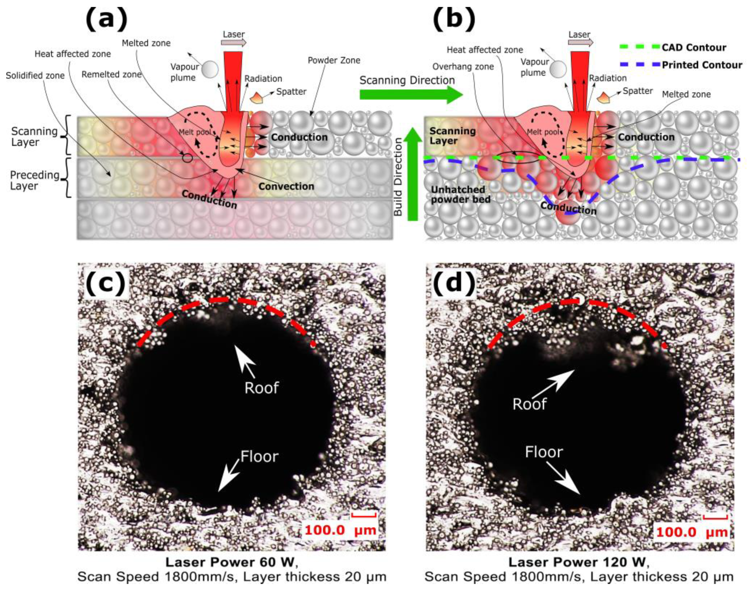 Micromachines 15 00348 g011