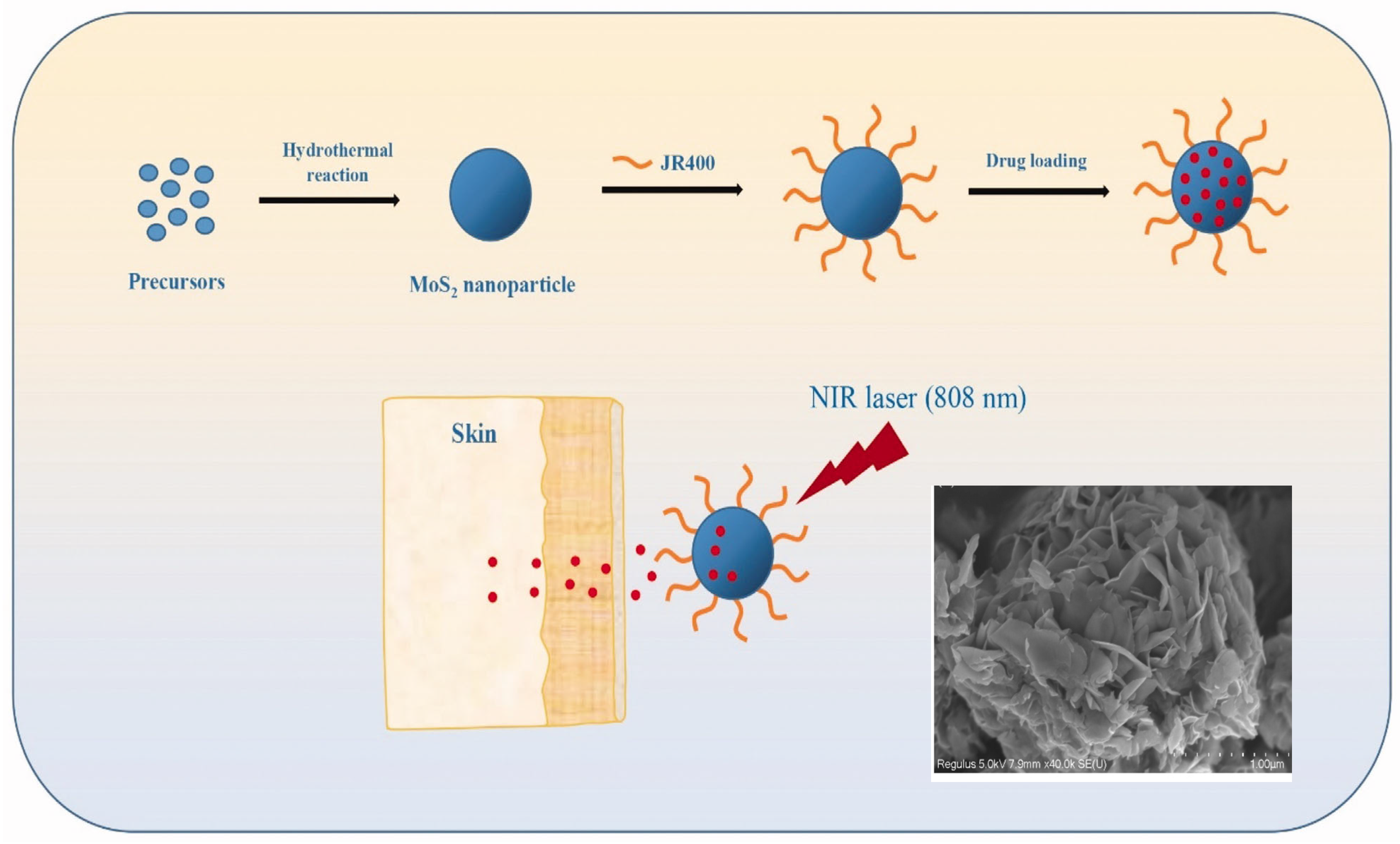 Micromachines 15 00349 g013