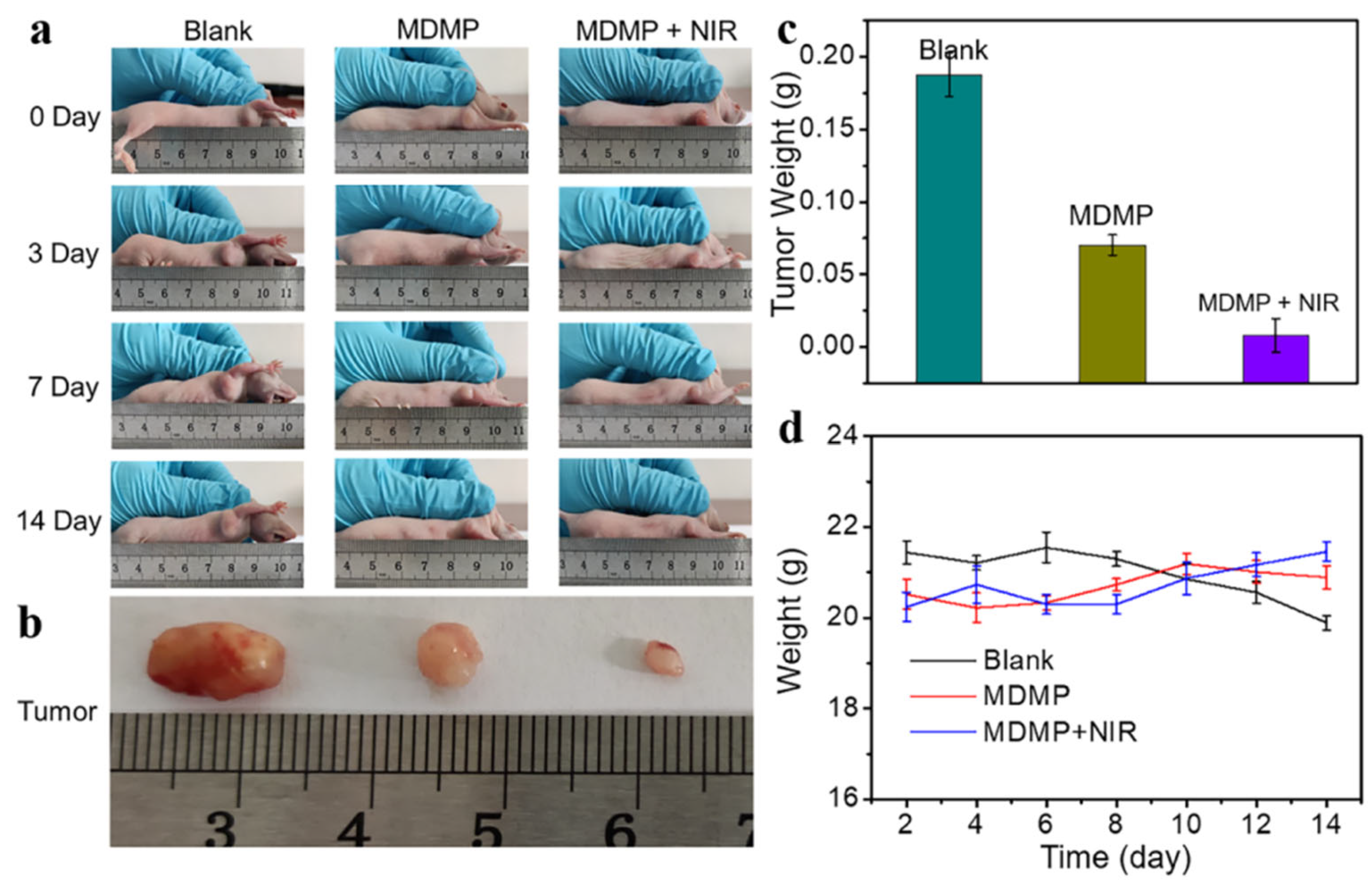 Micromachines 15 00349 g016