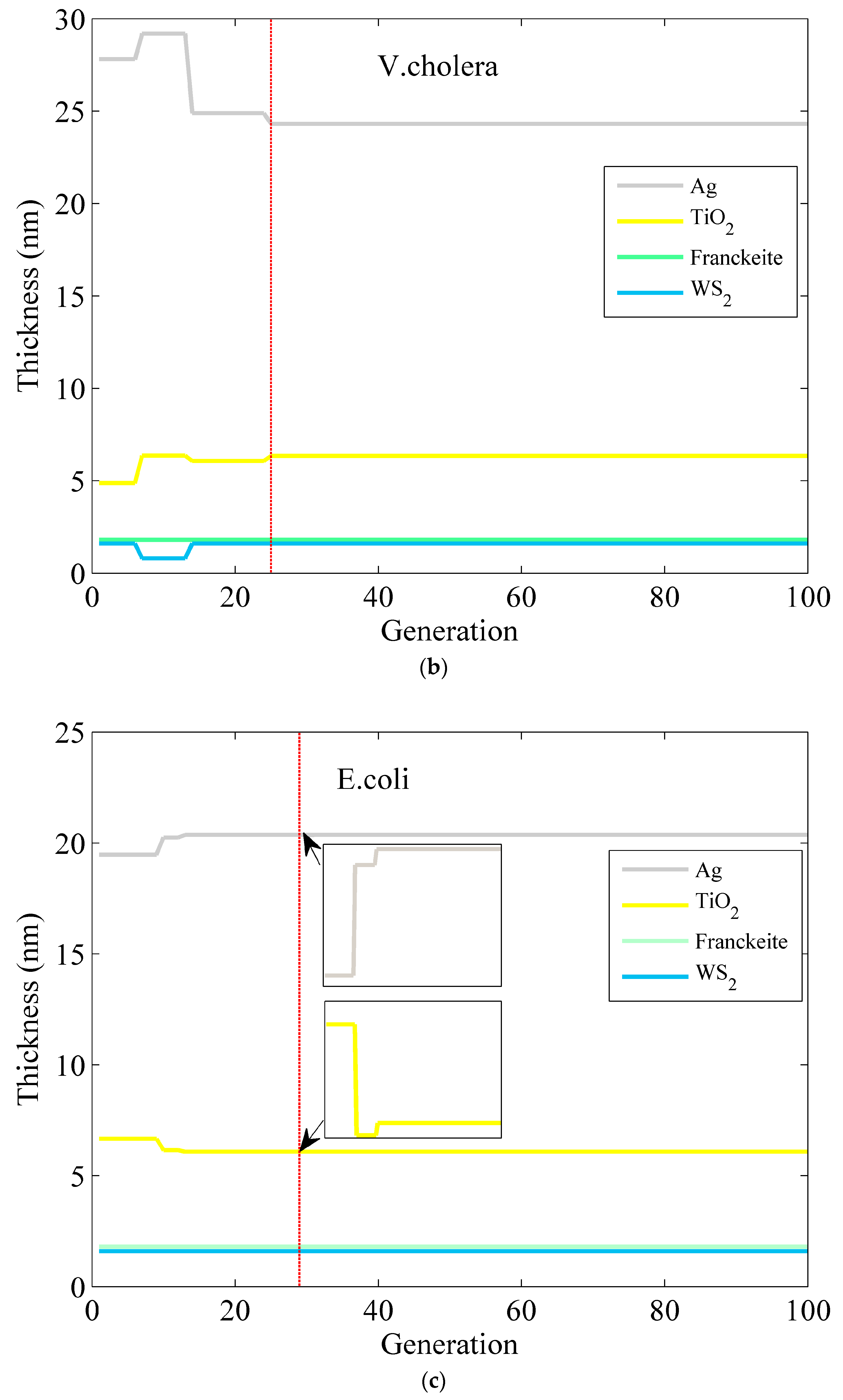 Micromachines 15 00362 g006b