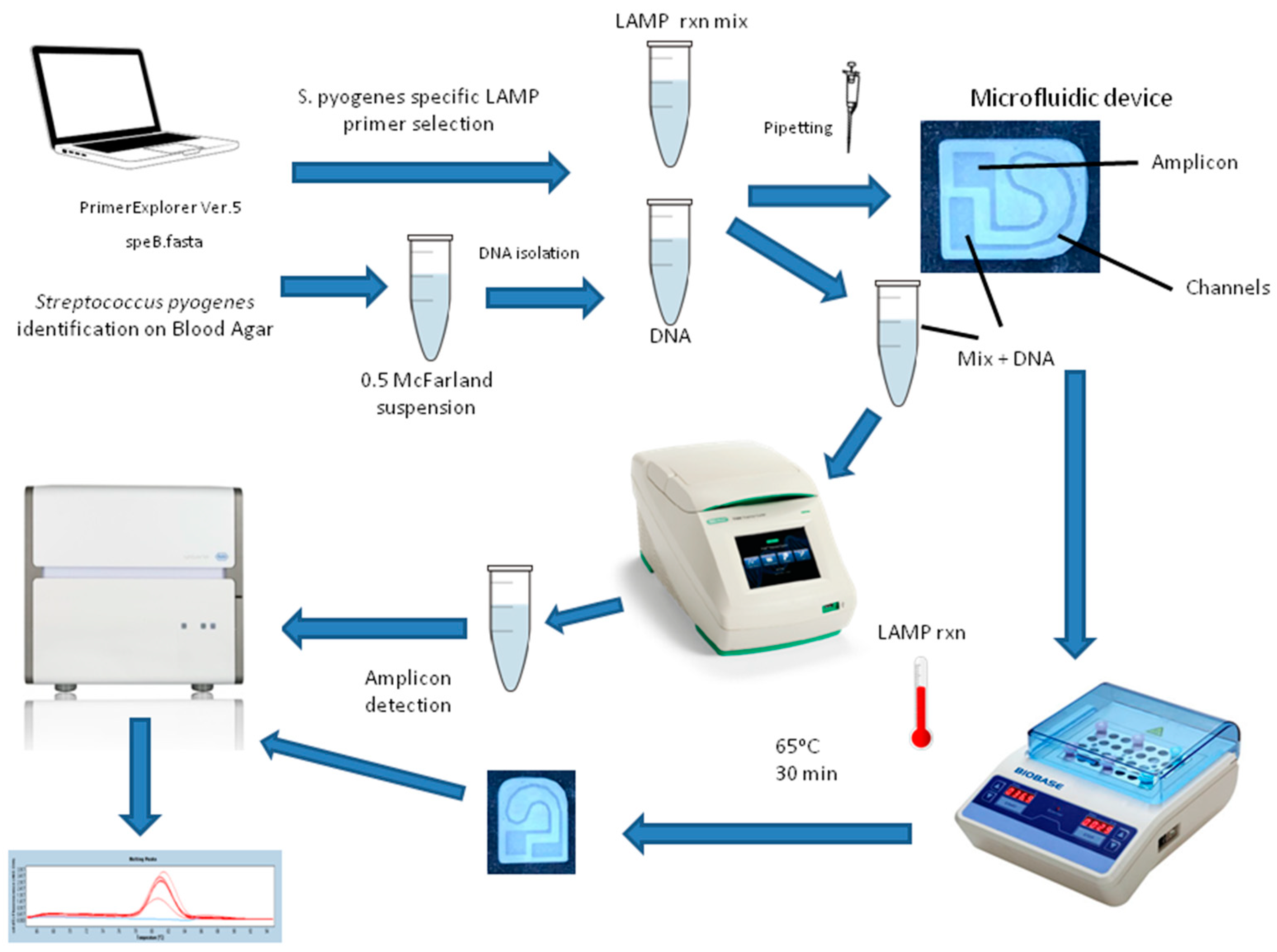 Micromachines 15 00365 g004 Micromachines 15 00365 g004