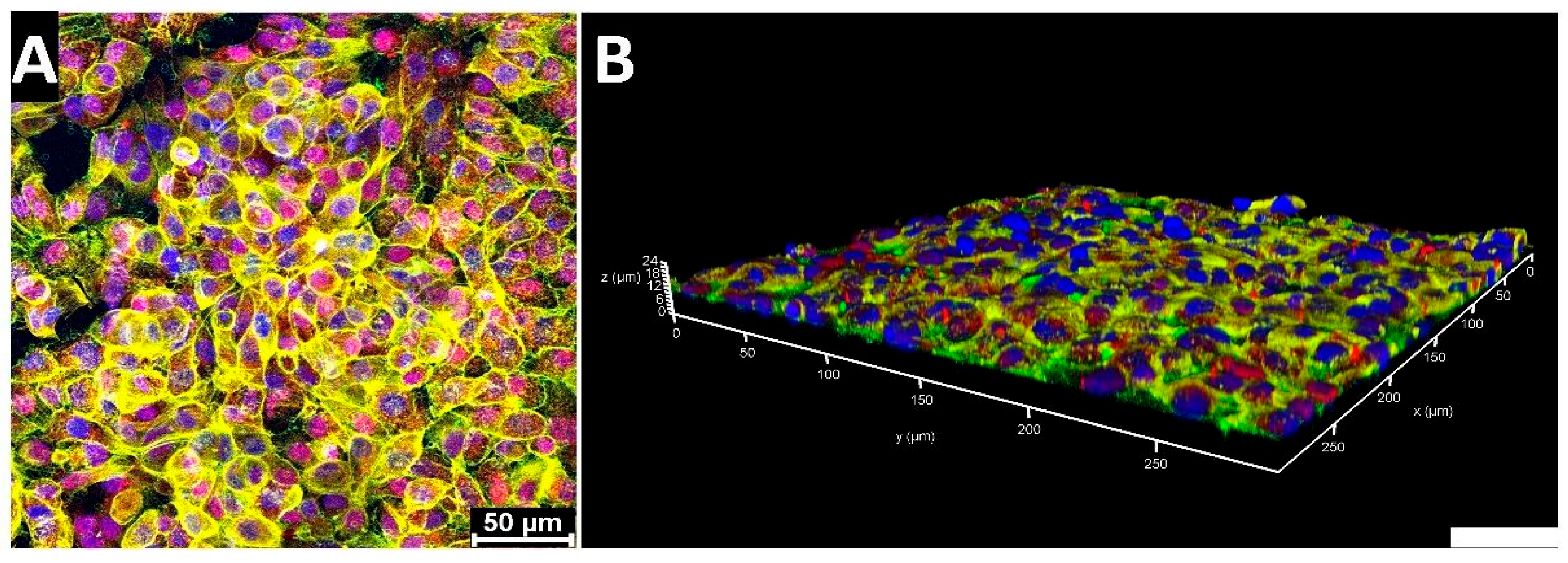 Micromachines 15 00370 g006