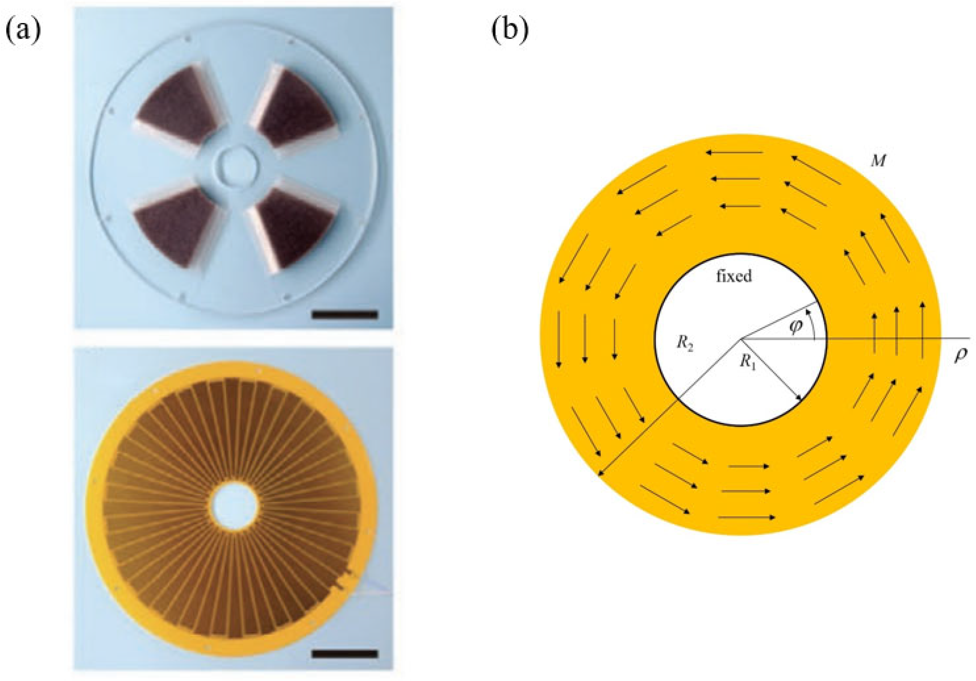 Micromachines 15 00371 g001