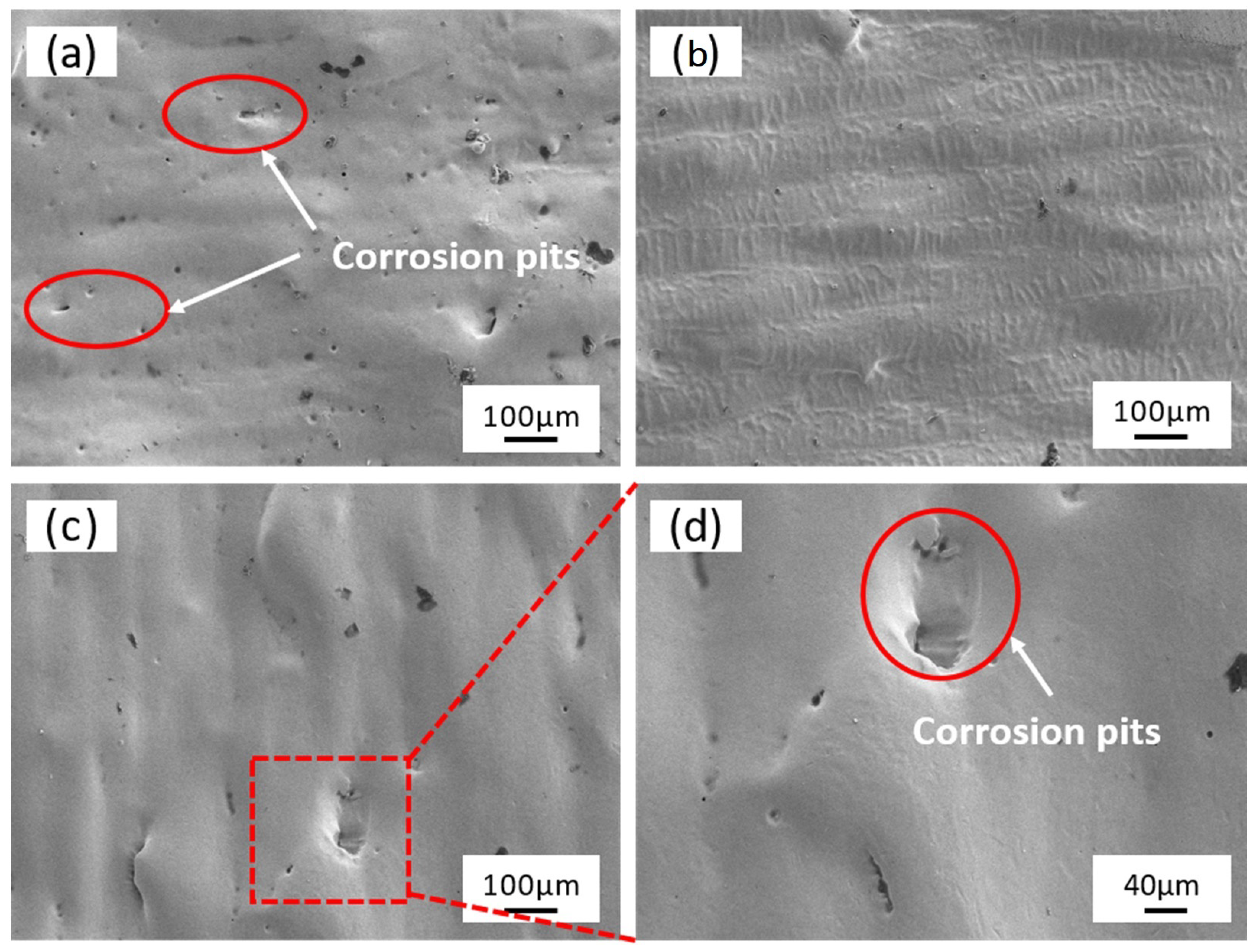Micromachines 15 00374 g008