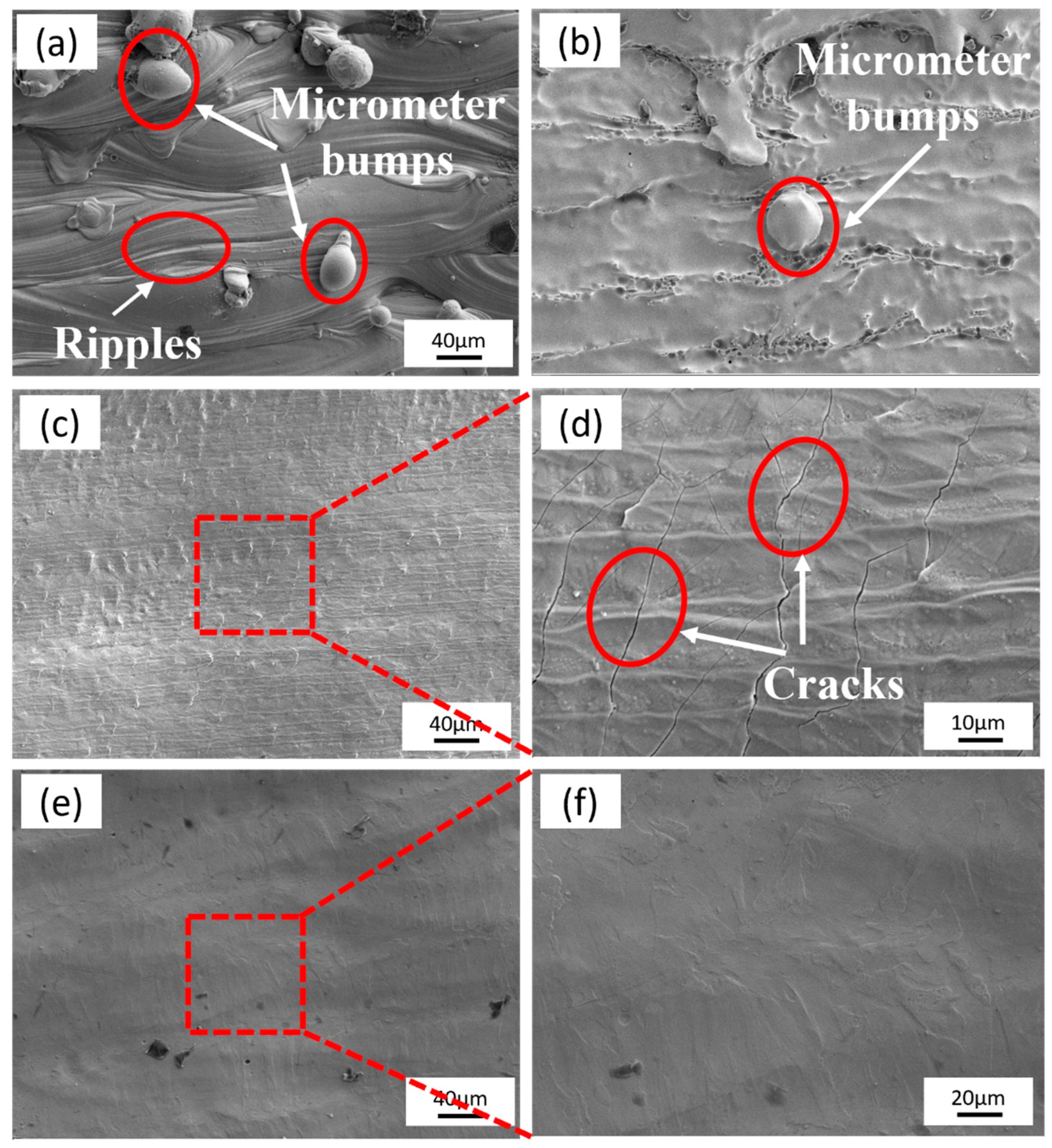 Micromachines 15 00374 g010