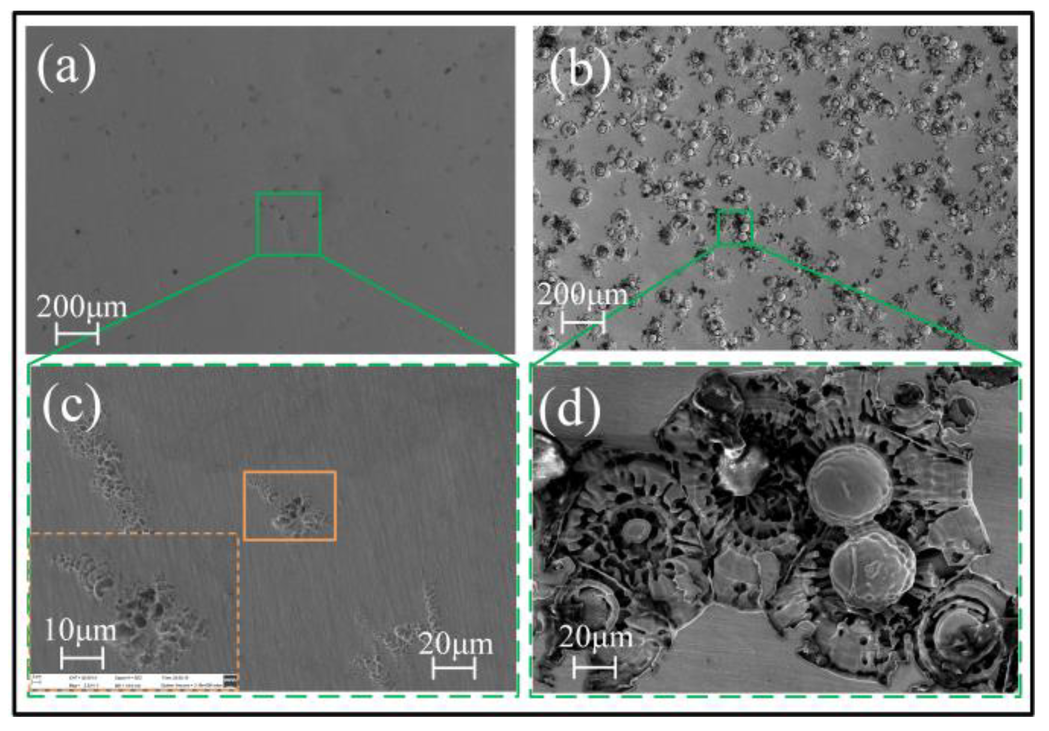 Micromachines 15 00375 g007
