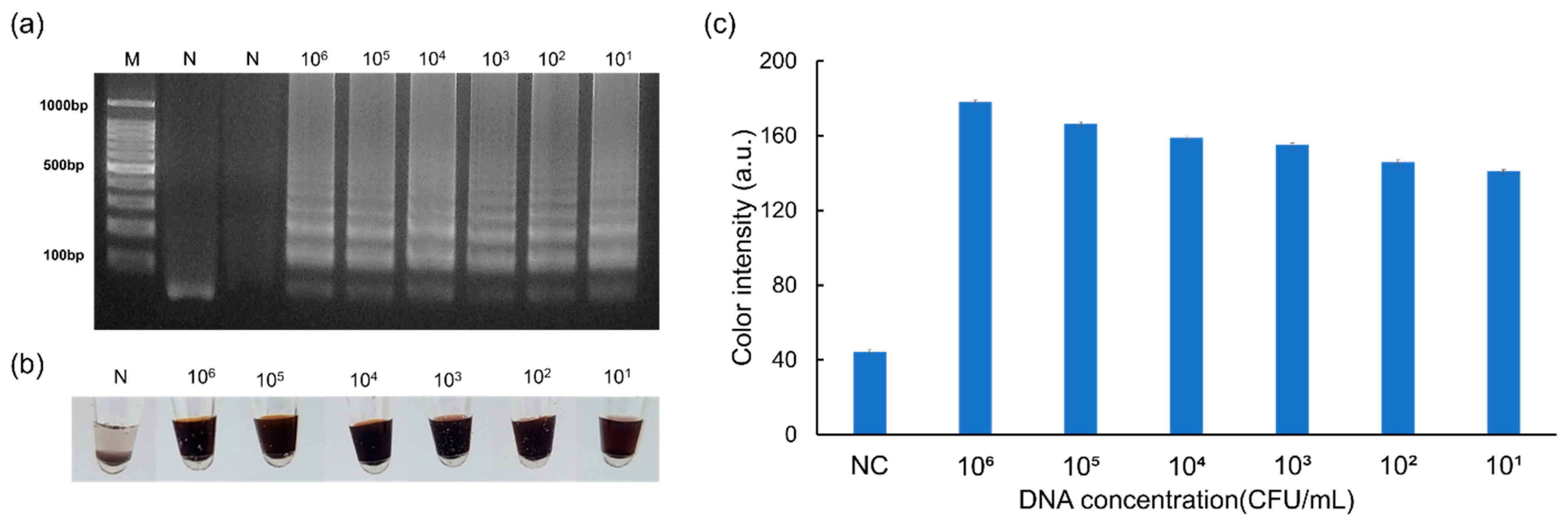 Micromachines 15 00378 g005