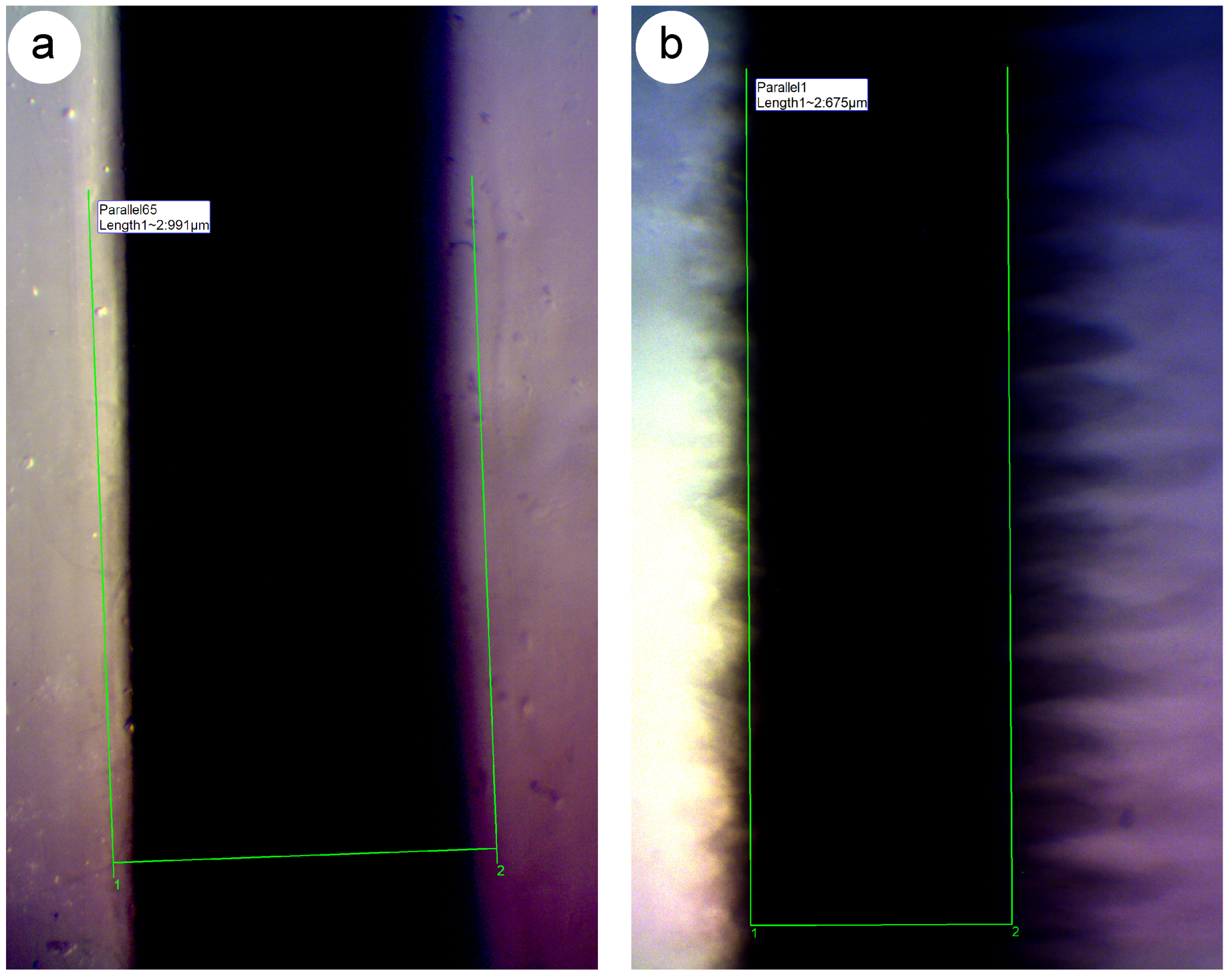 Micromachines 15 00389 g004 Micromachines 15 00389 g004