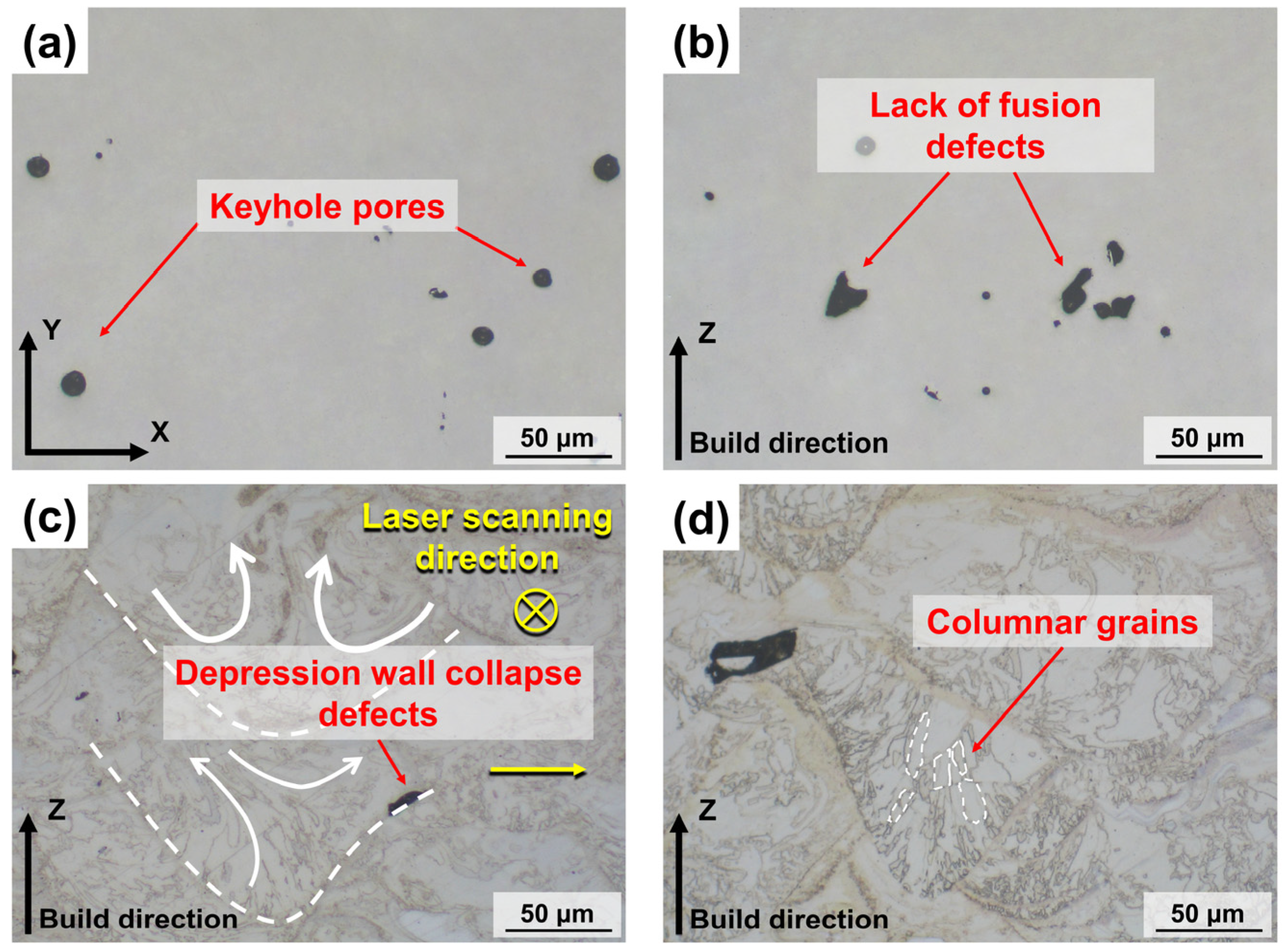 Micromachines 15 00396 g011