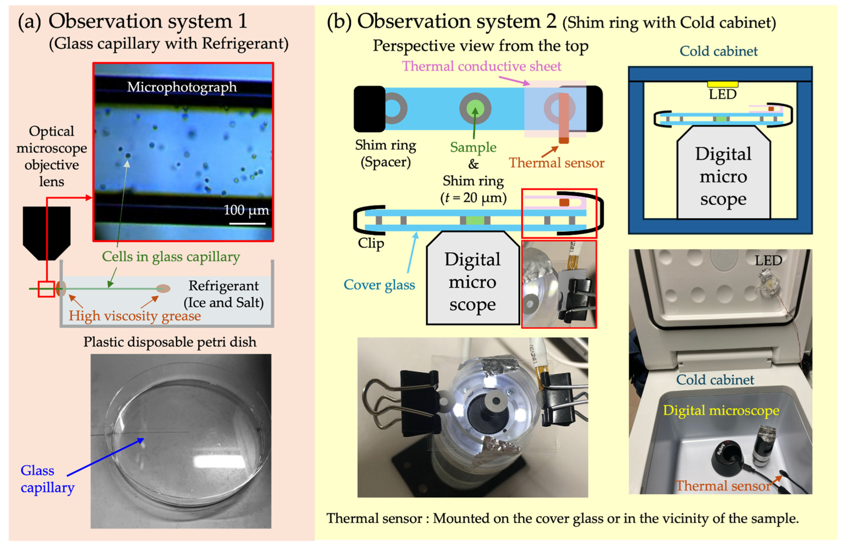 Micromachines 15 00410 g001