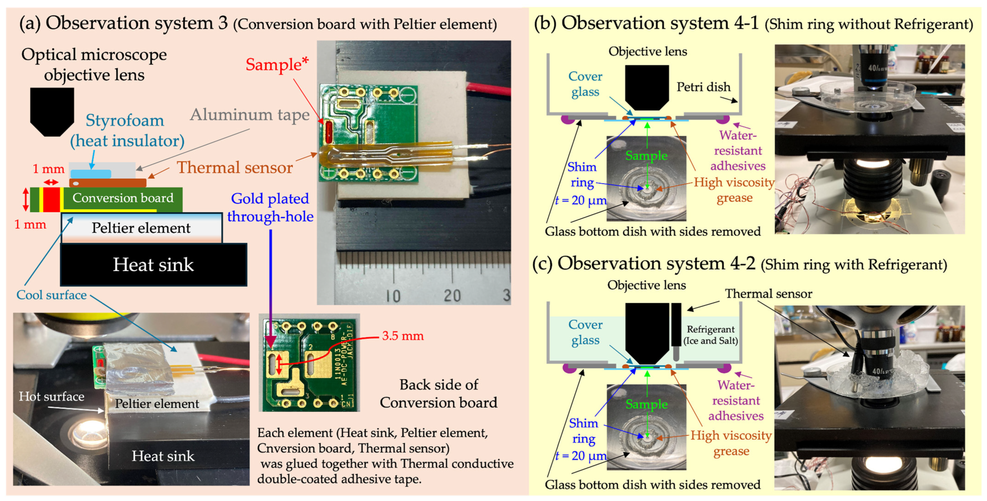 Micromachines 15 00410 g002