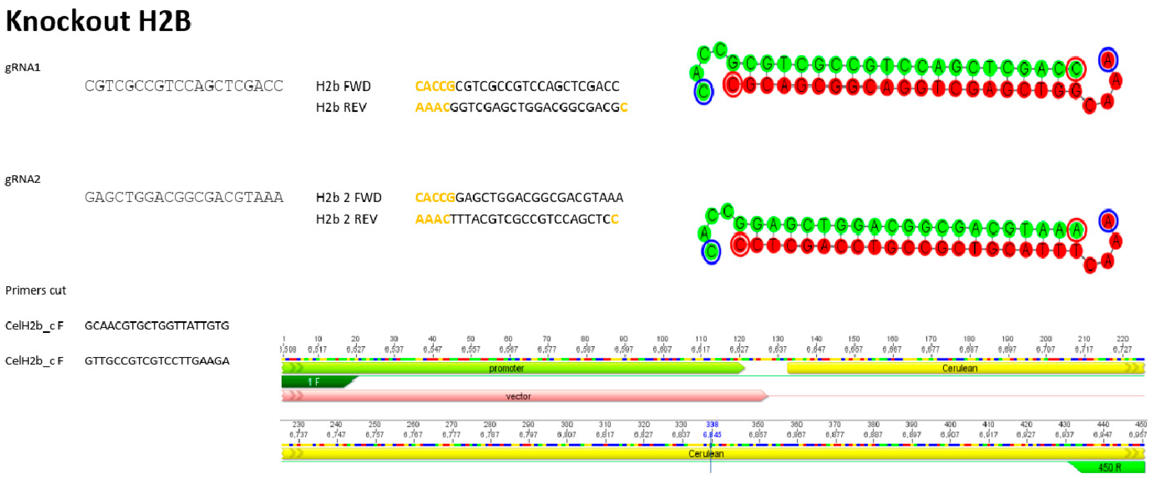 Micromachines 15 00413 g002