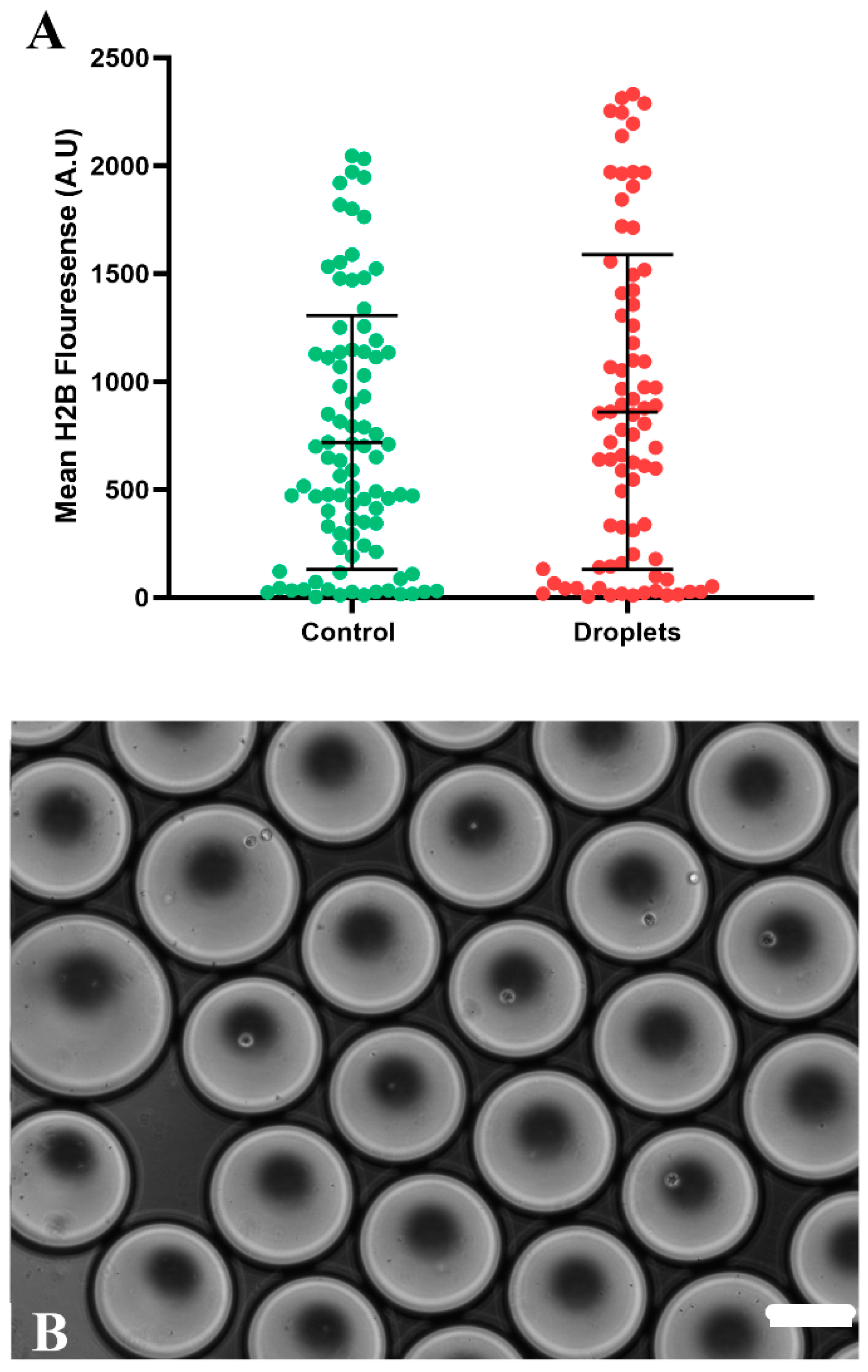 Micromachines 15 00413 g003