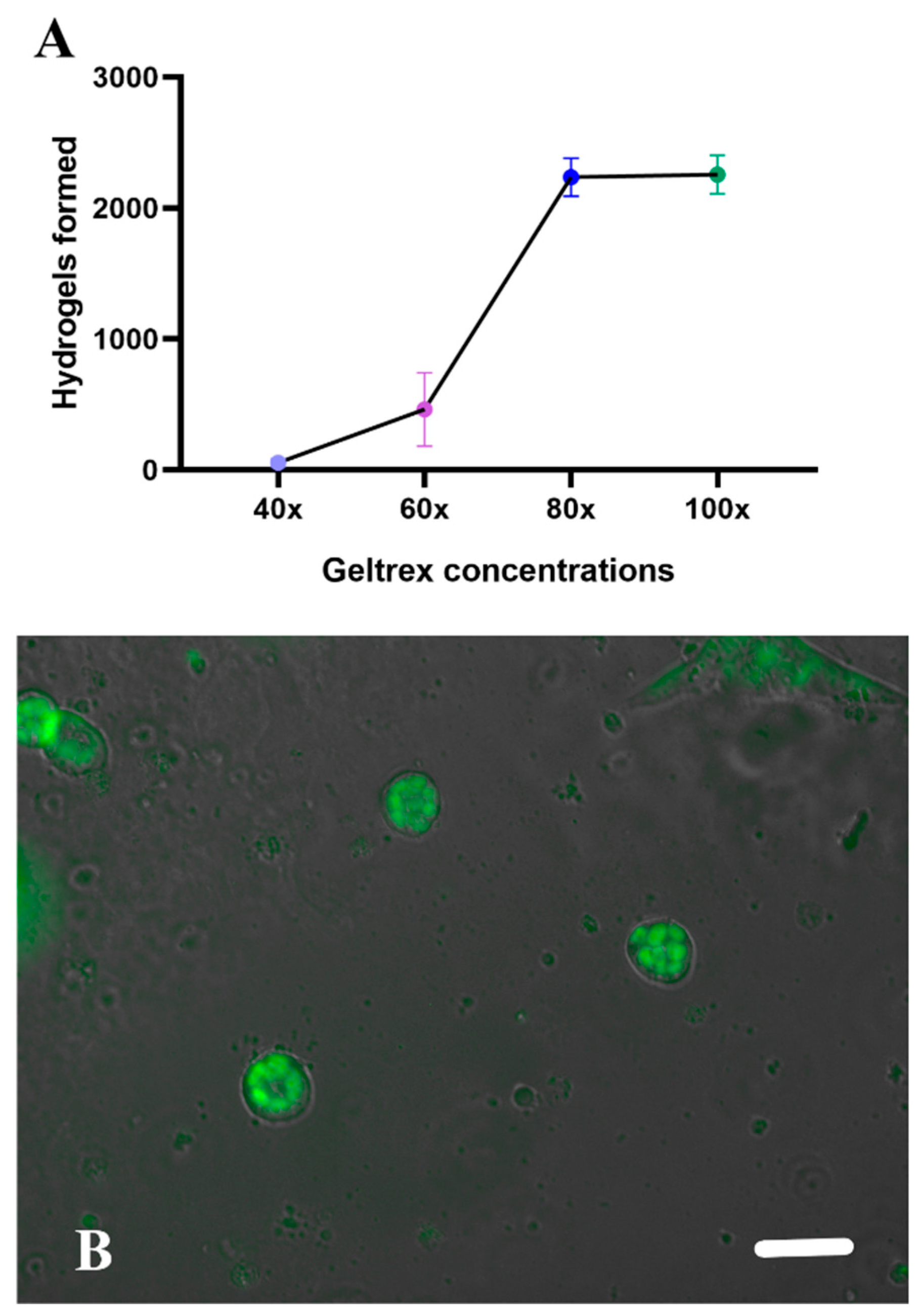 Micromachines 15 00413 g004