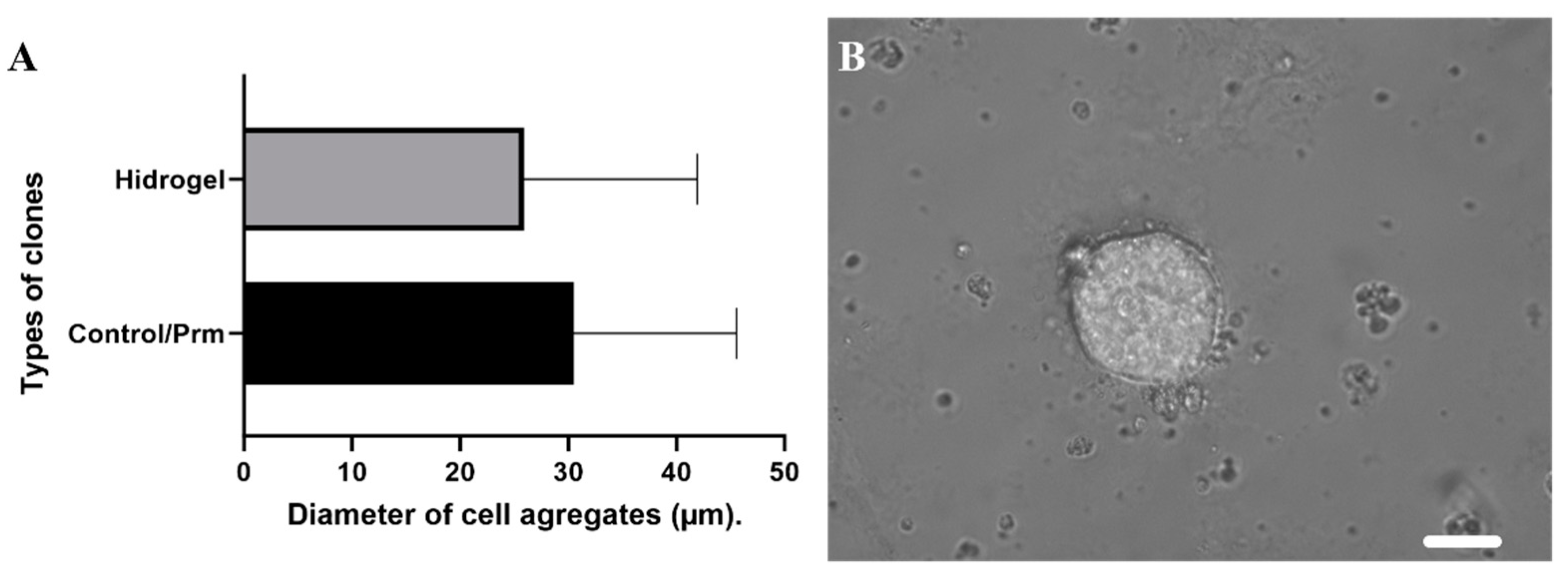 Micromachines 15 00413 g005