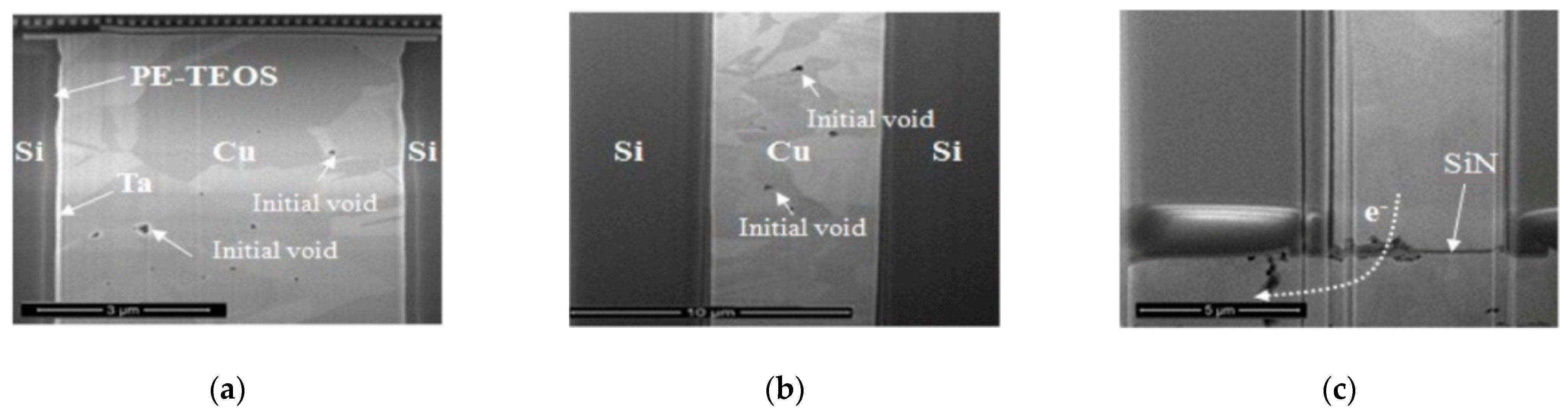 Micromachines 15 00422 g006