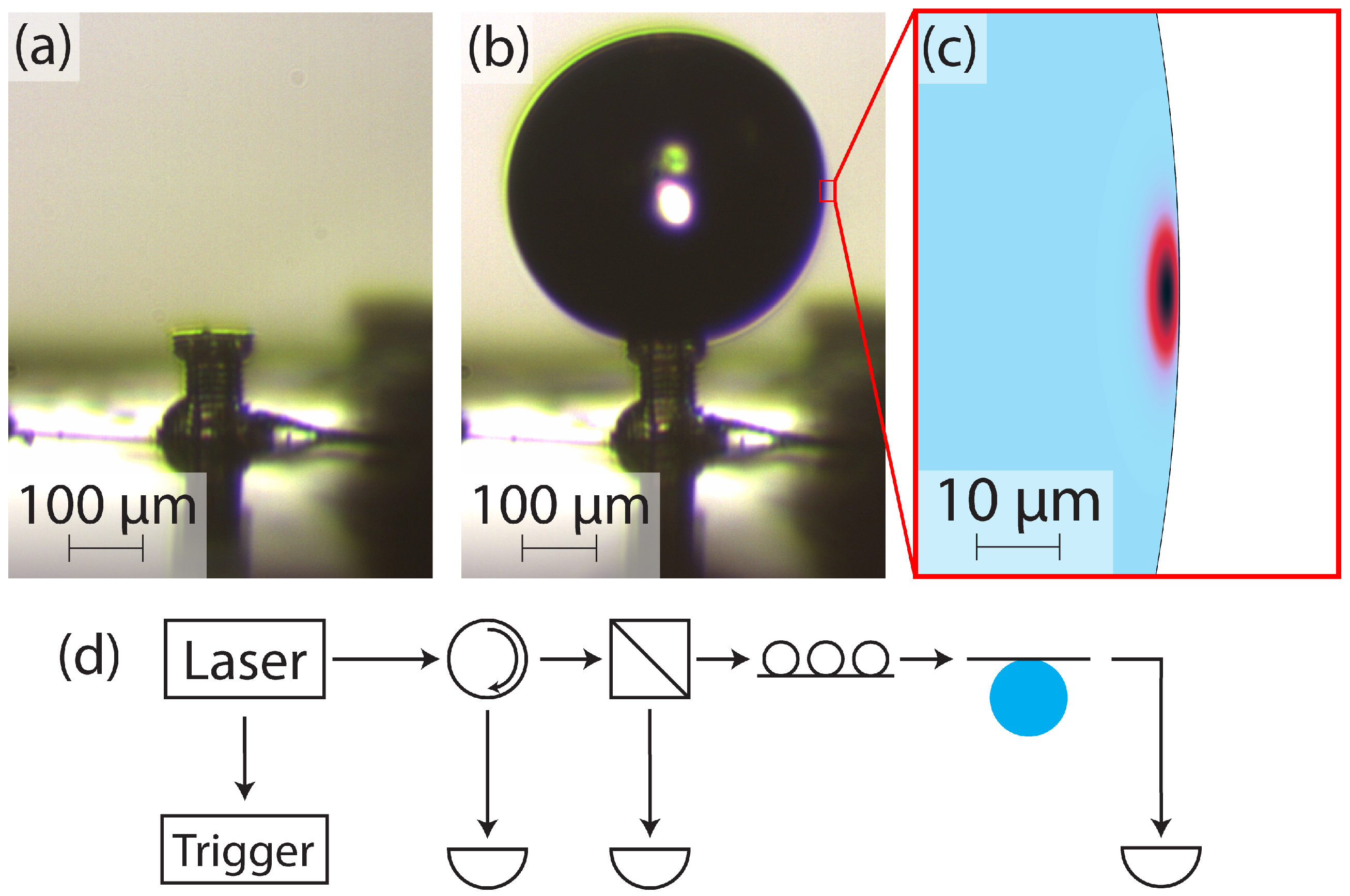 Micromachines 15 00423 g003
