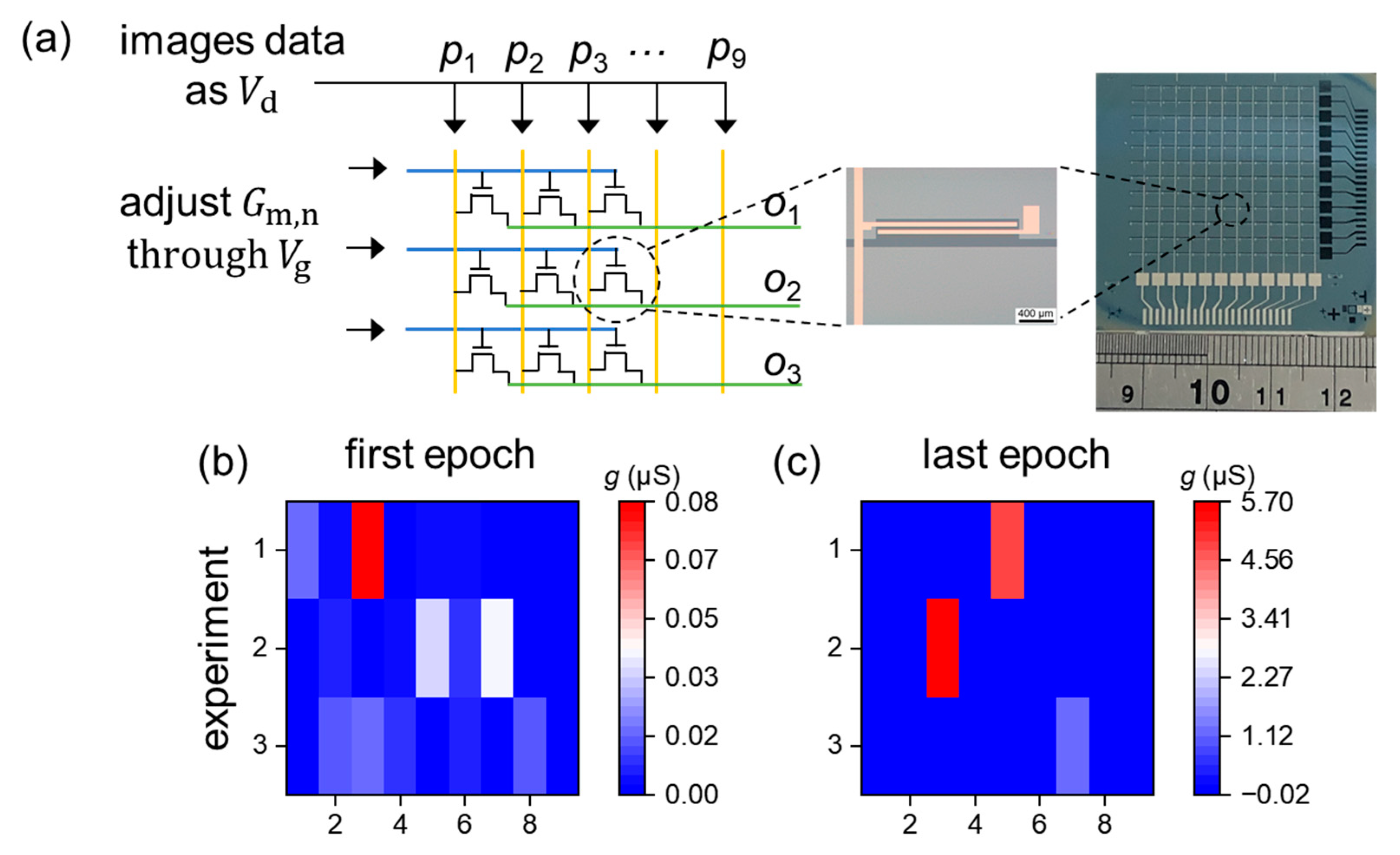 Micromachines 15 00433 g004