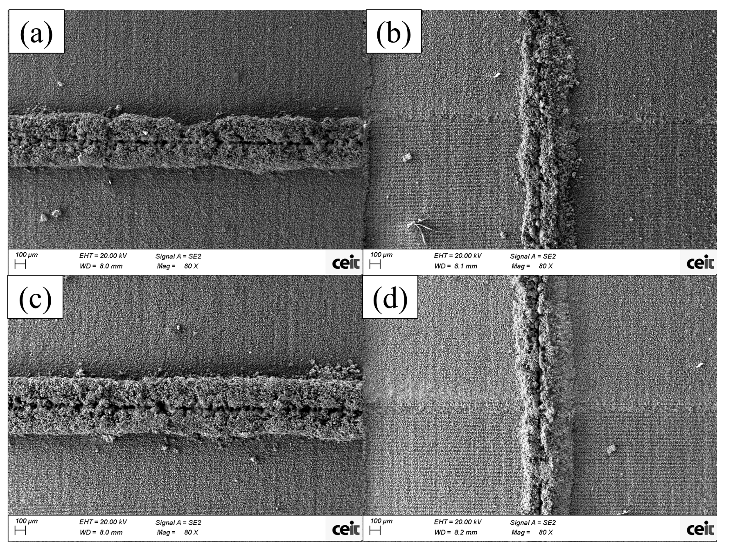 Micromachines 15 00444 g006