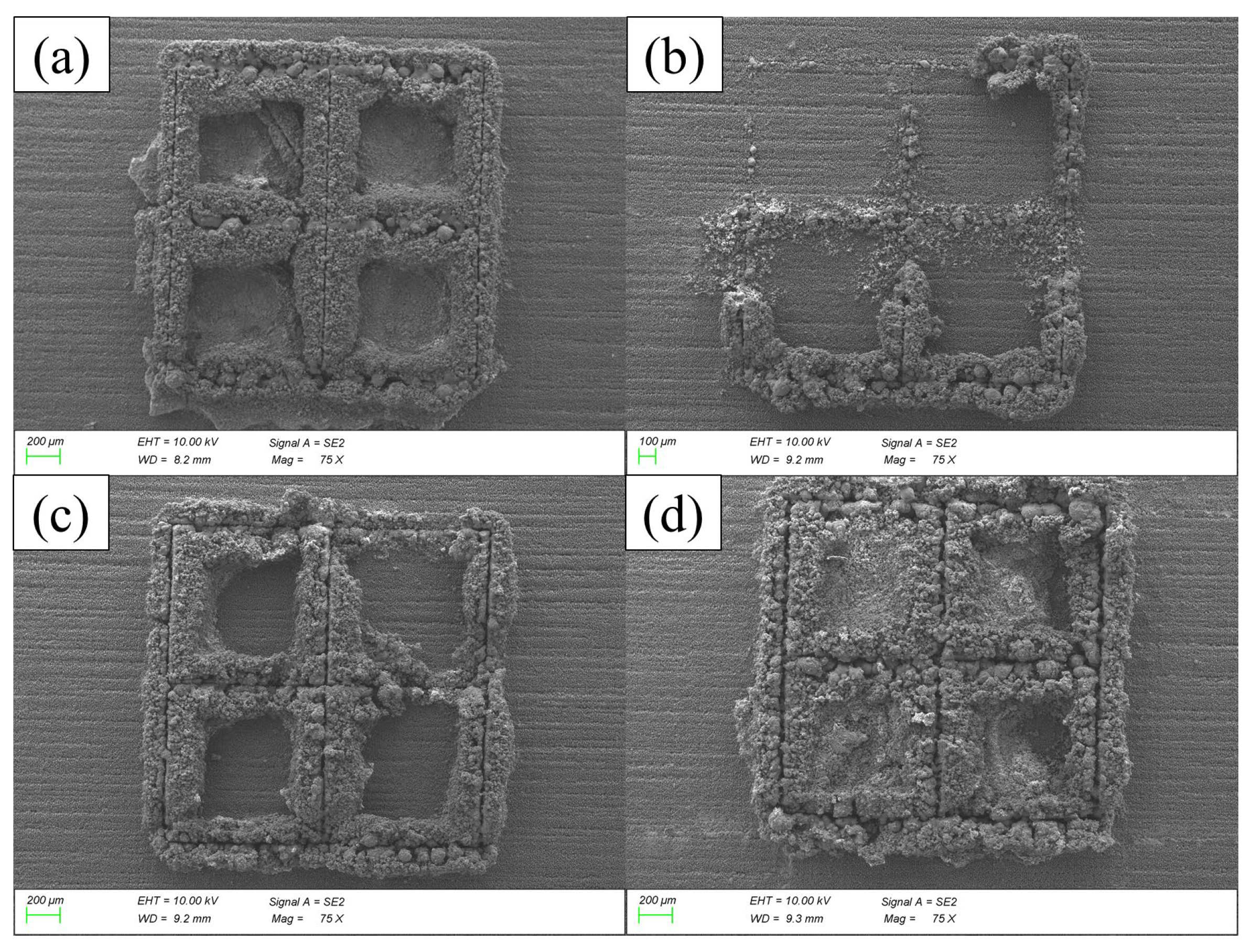 Micromachines 15 00444 g007