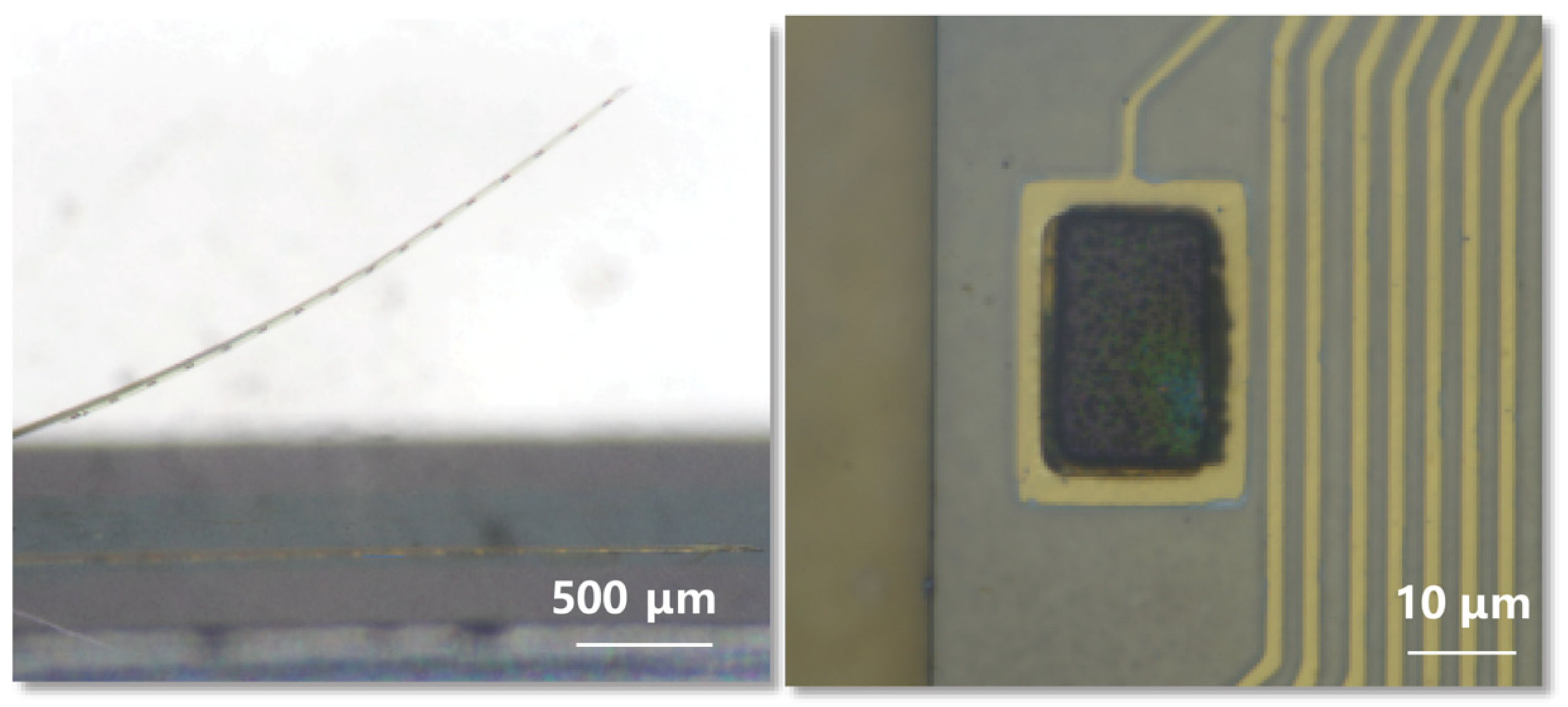 Micromachines 15 00447 g002