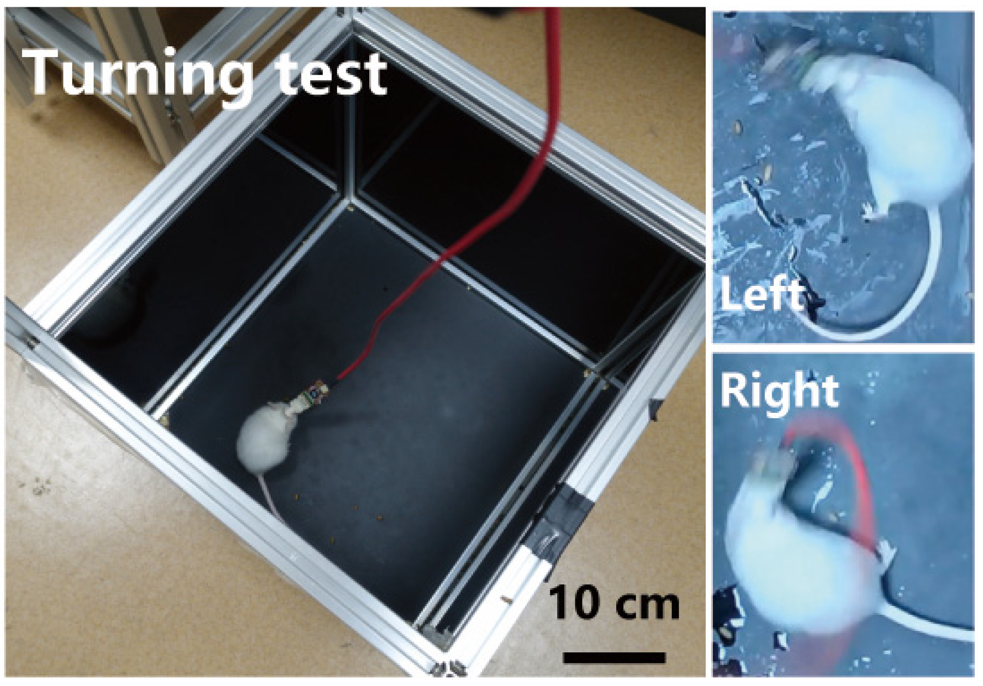 Micromachines 15 00447 g005