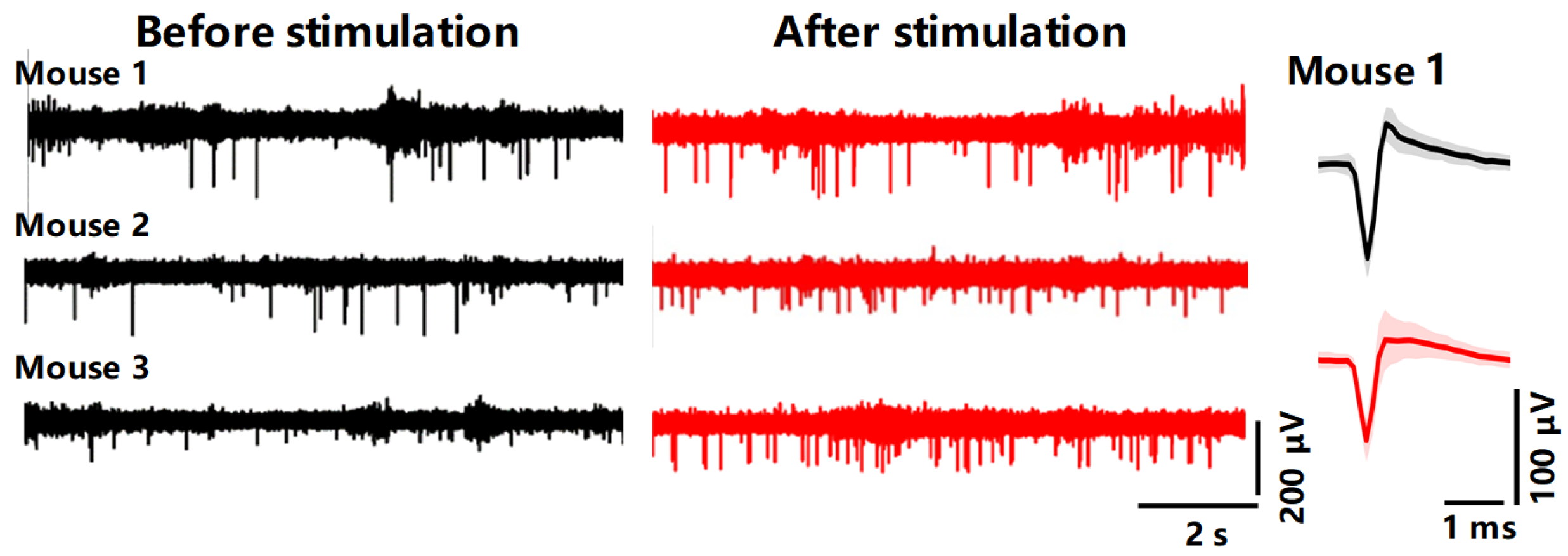 Micromachines 15 00447 g013