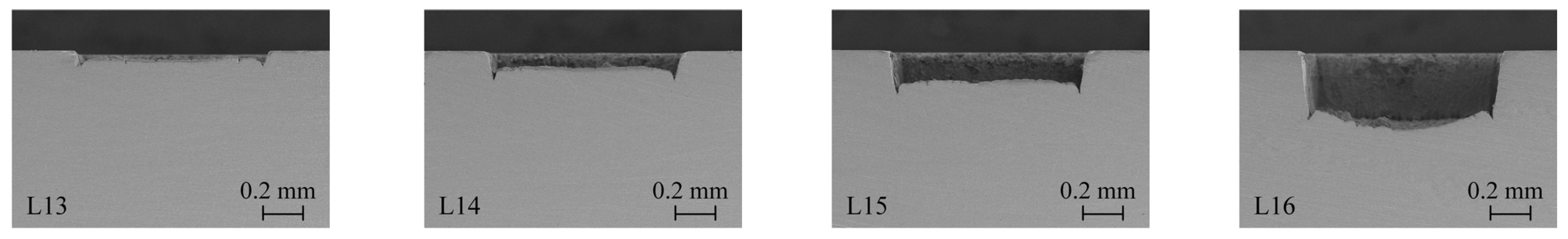 Micromachines 15 00448 g002b
