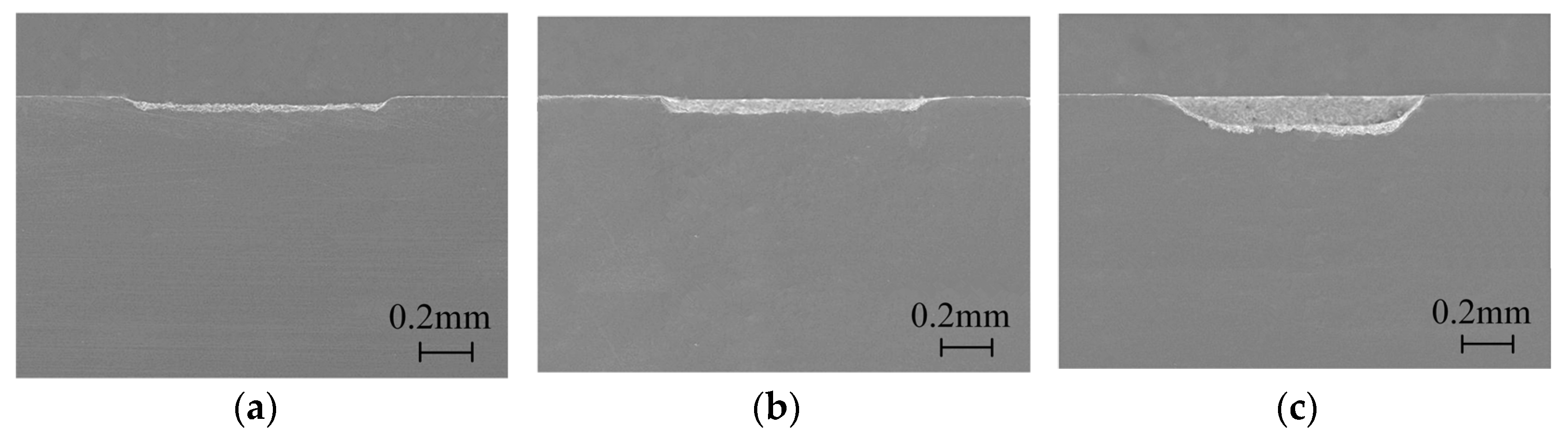 Micromachines 15 00448 g007