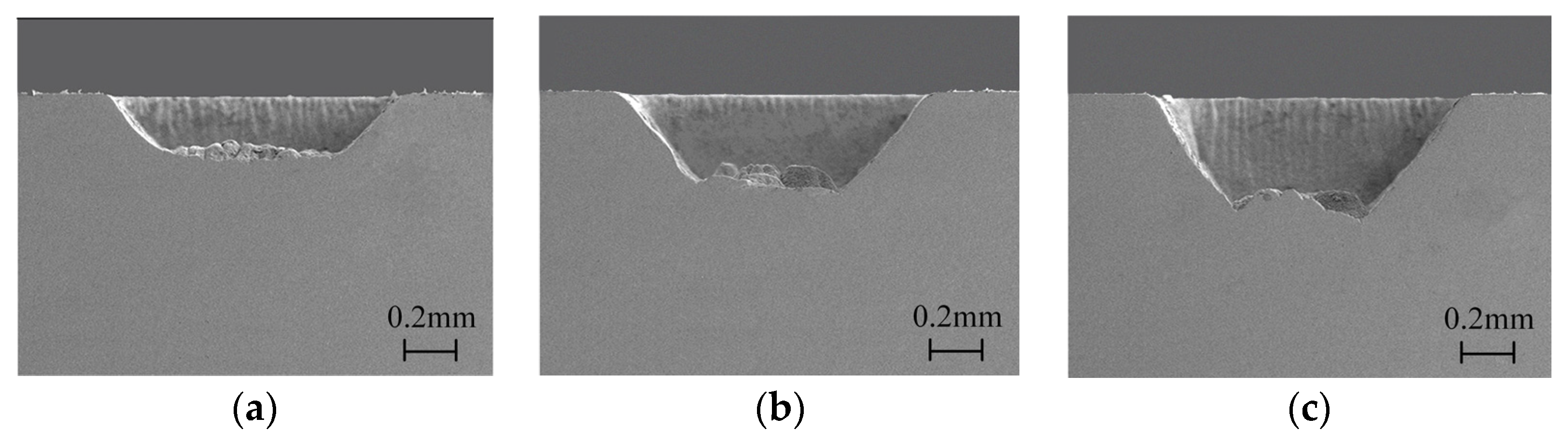 Micromachines 15 00448 g008
