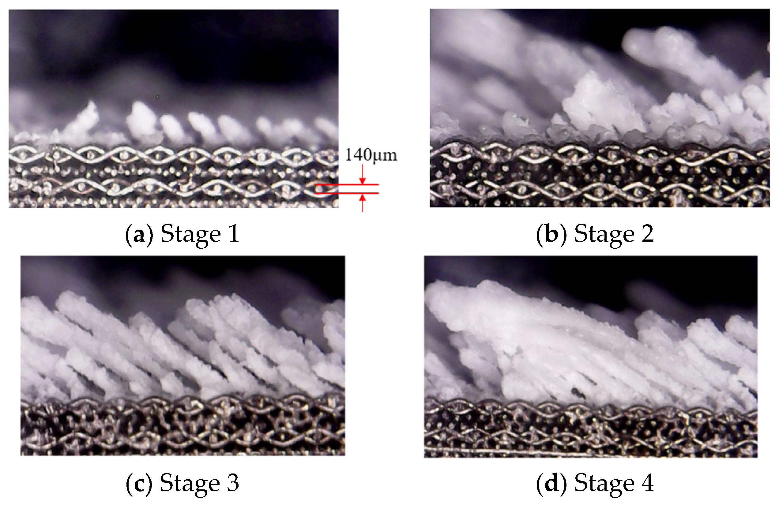 Micromachines 15 00452 g016