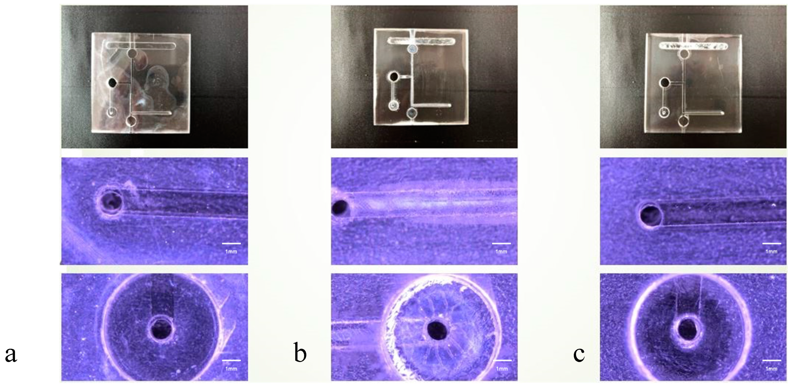 Micromachines 15 00454 g004