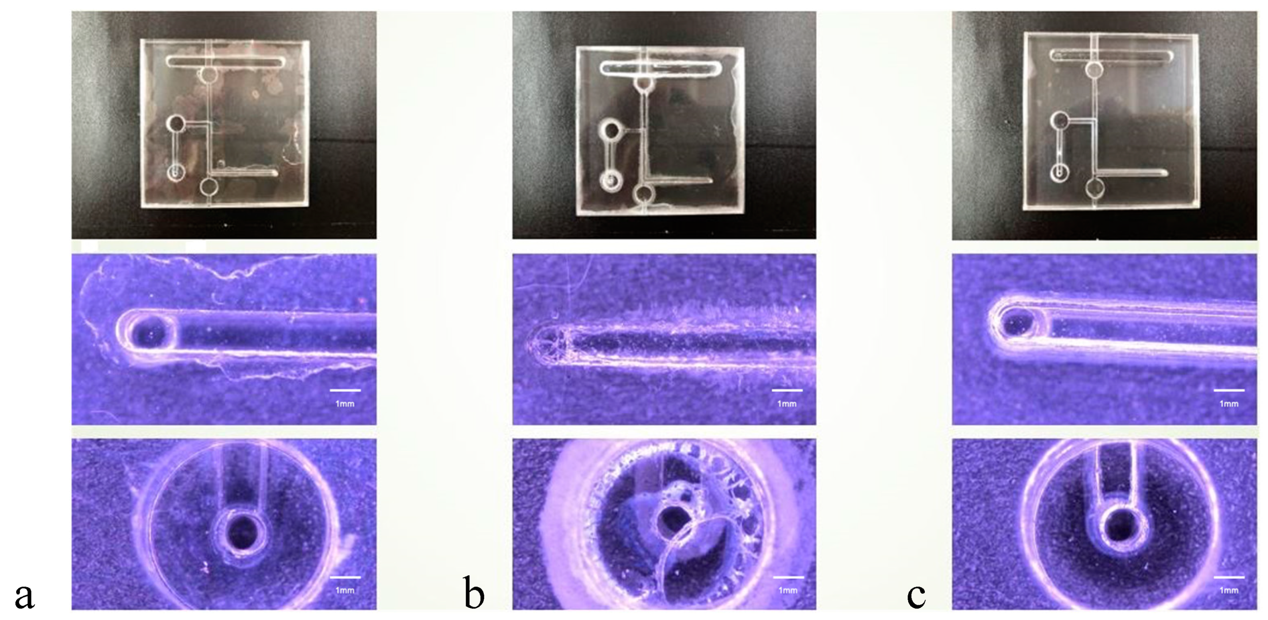 Micromachines 15 00454 g006