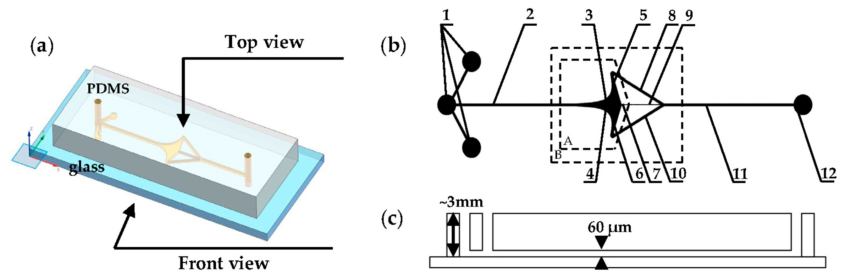 Micromachines 15 00456 g005