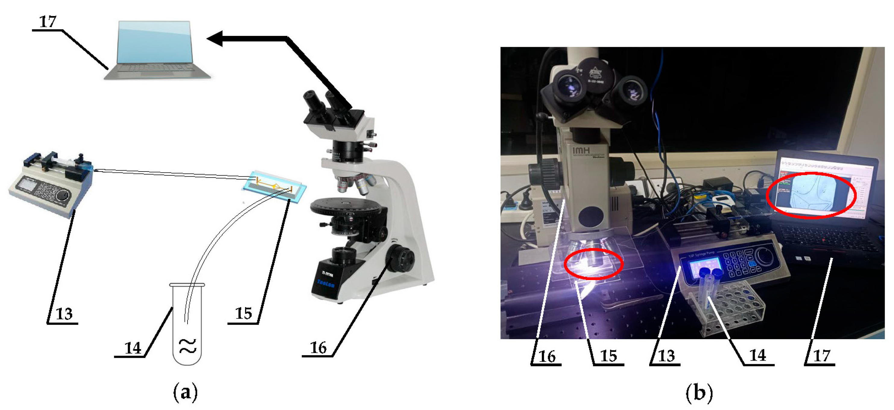 Micromachines 15 00456 g006