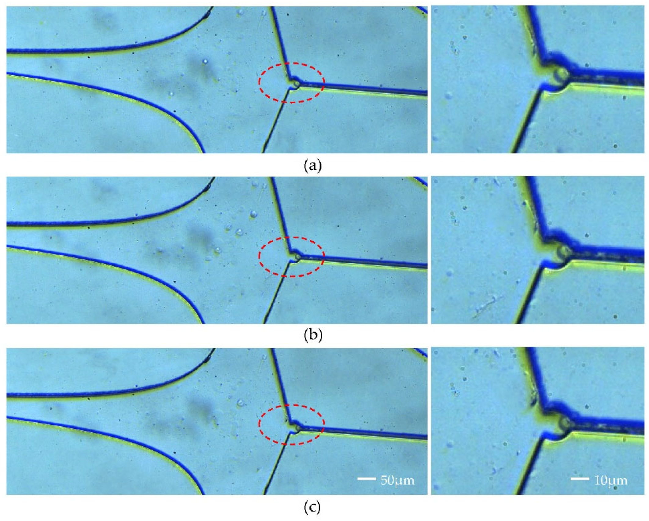 Micromachines 15 00456 g009