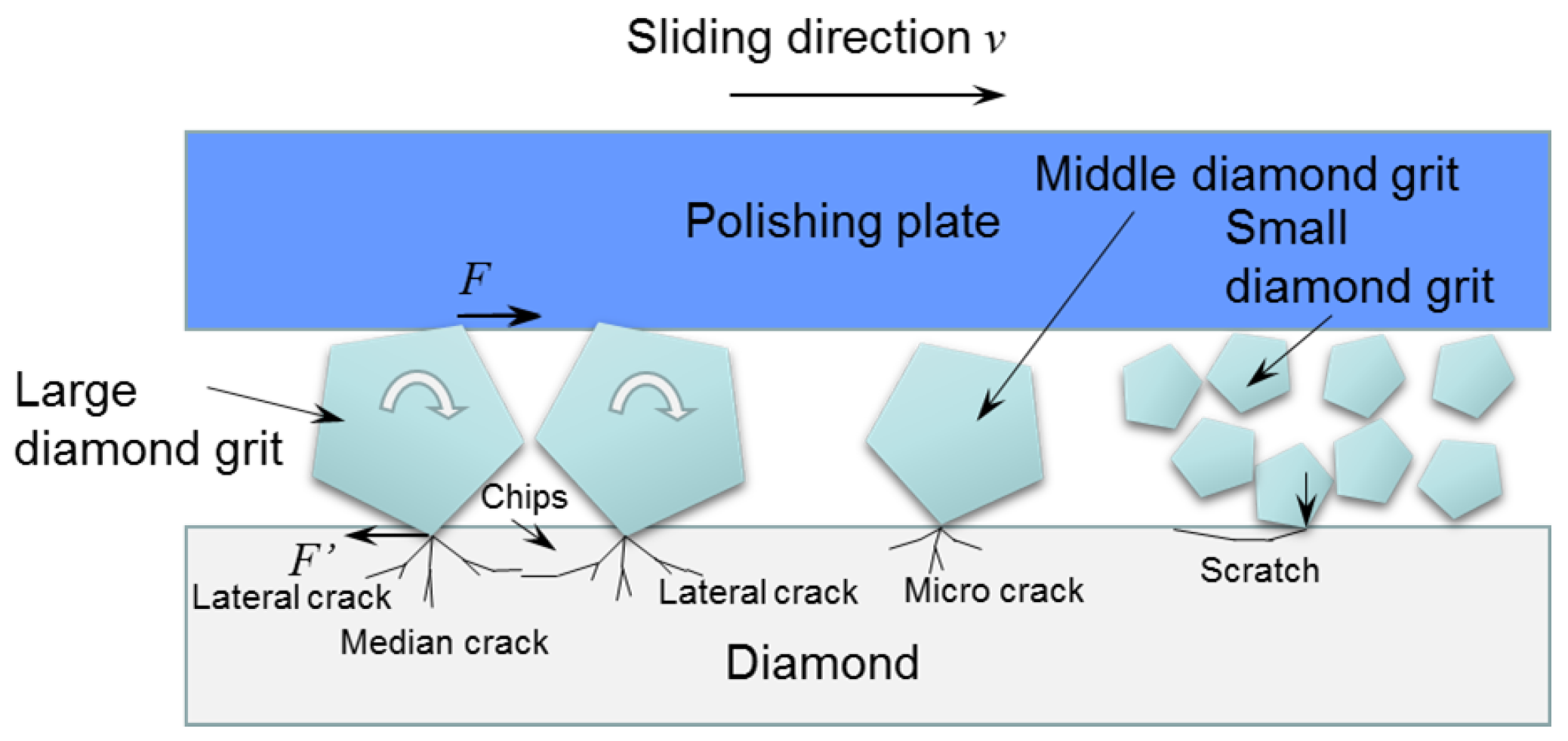 Micromachines 15 00459 g005