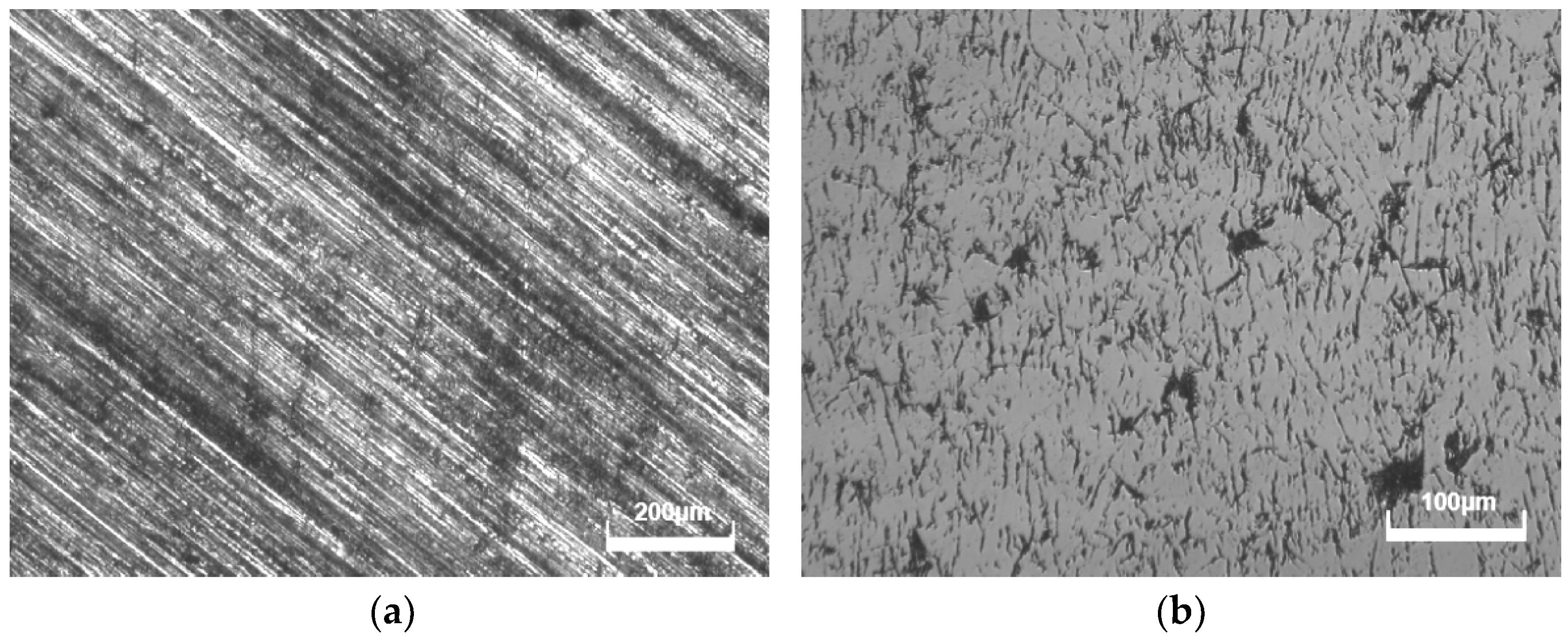 Micromachines 15 00459 g011