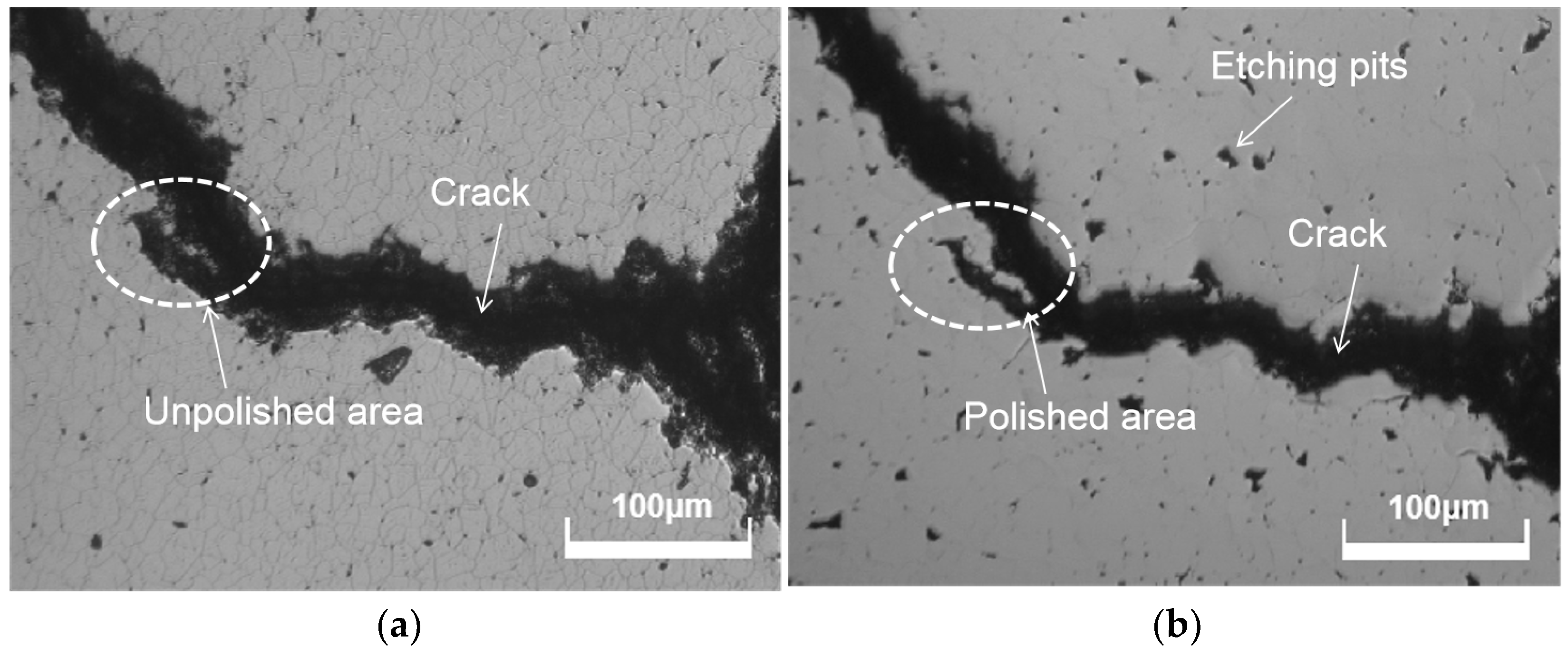 Micromachines 15 00459 g013