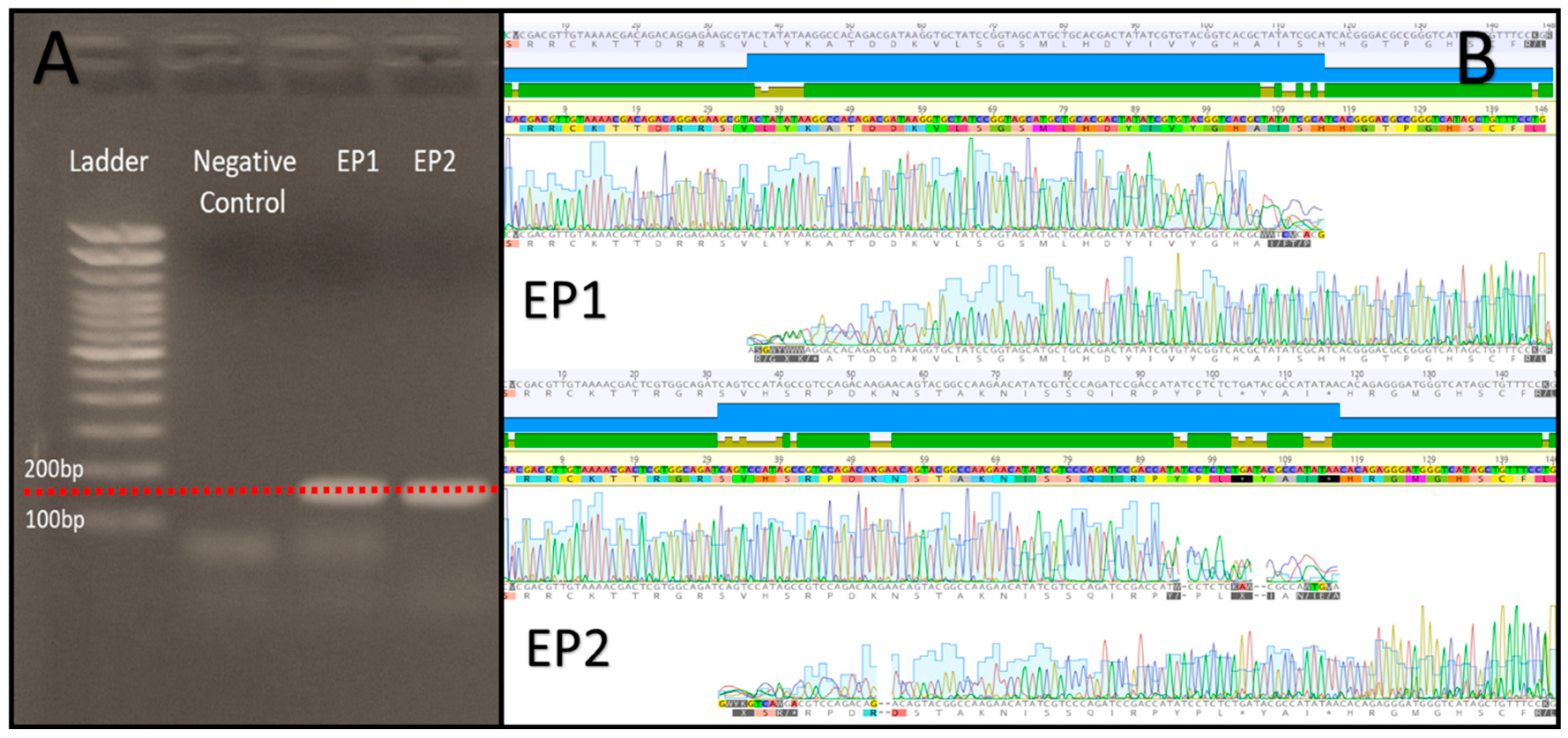 Micromachines 15 00474 g006