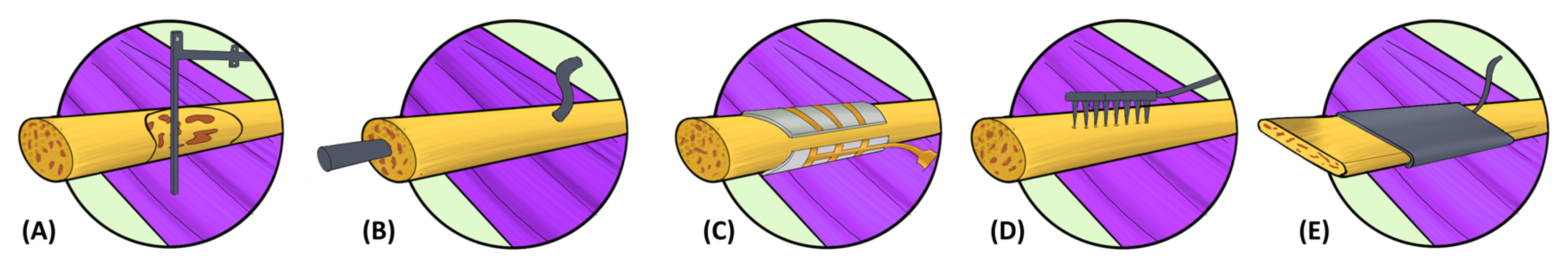 Micromachines 15 00480 g001