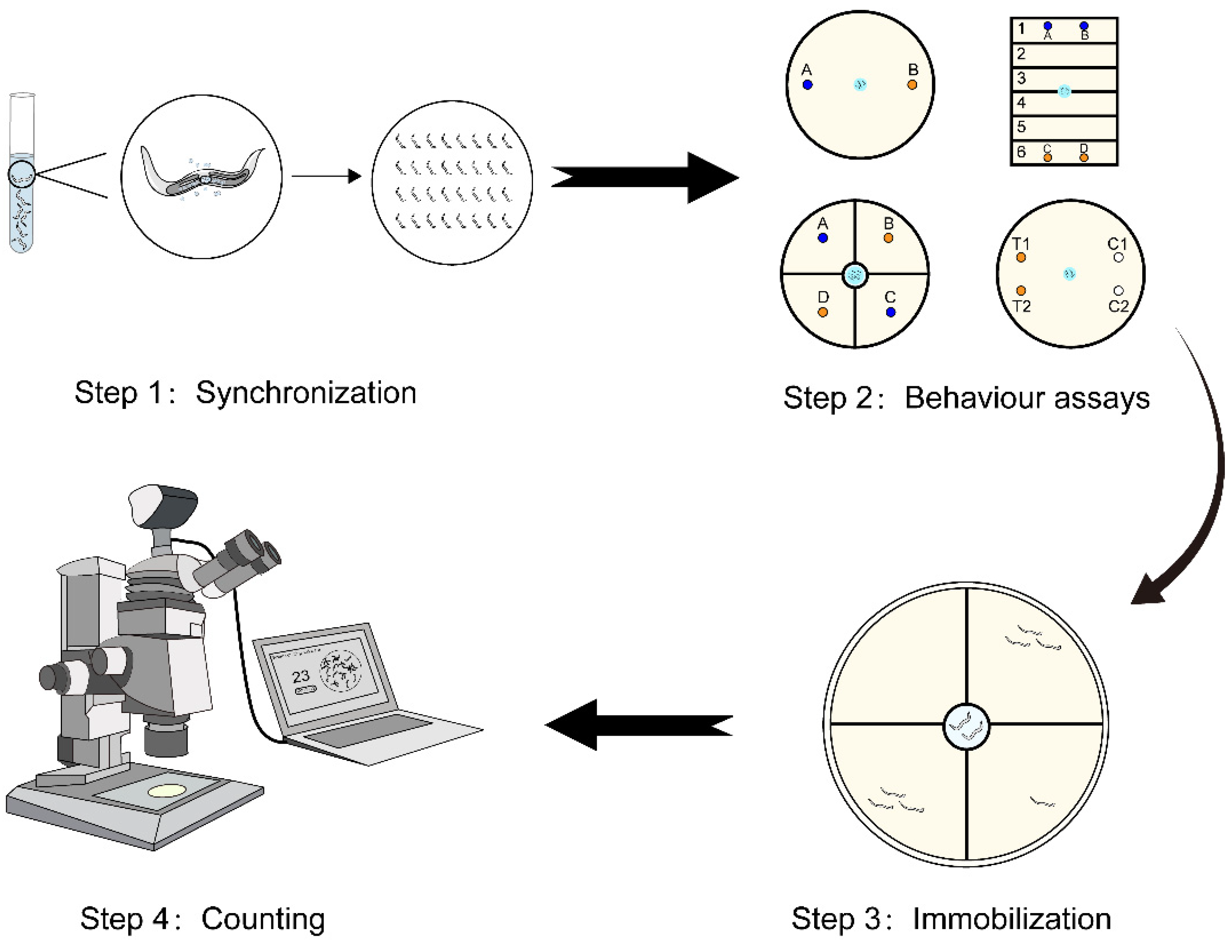 Micromachines 15 00484 g001
