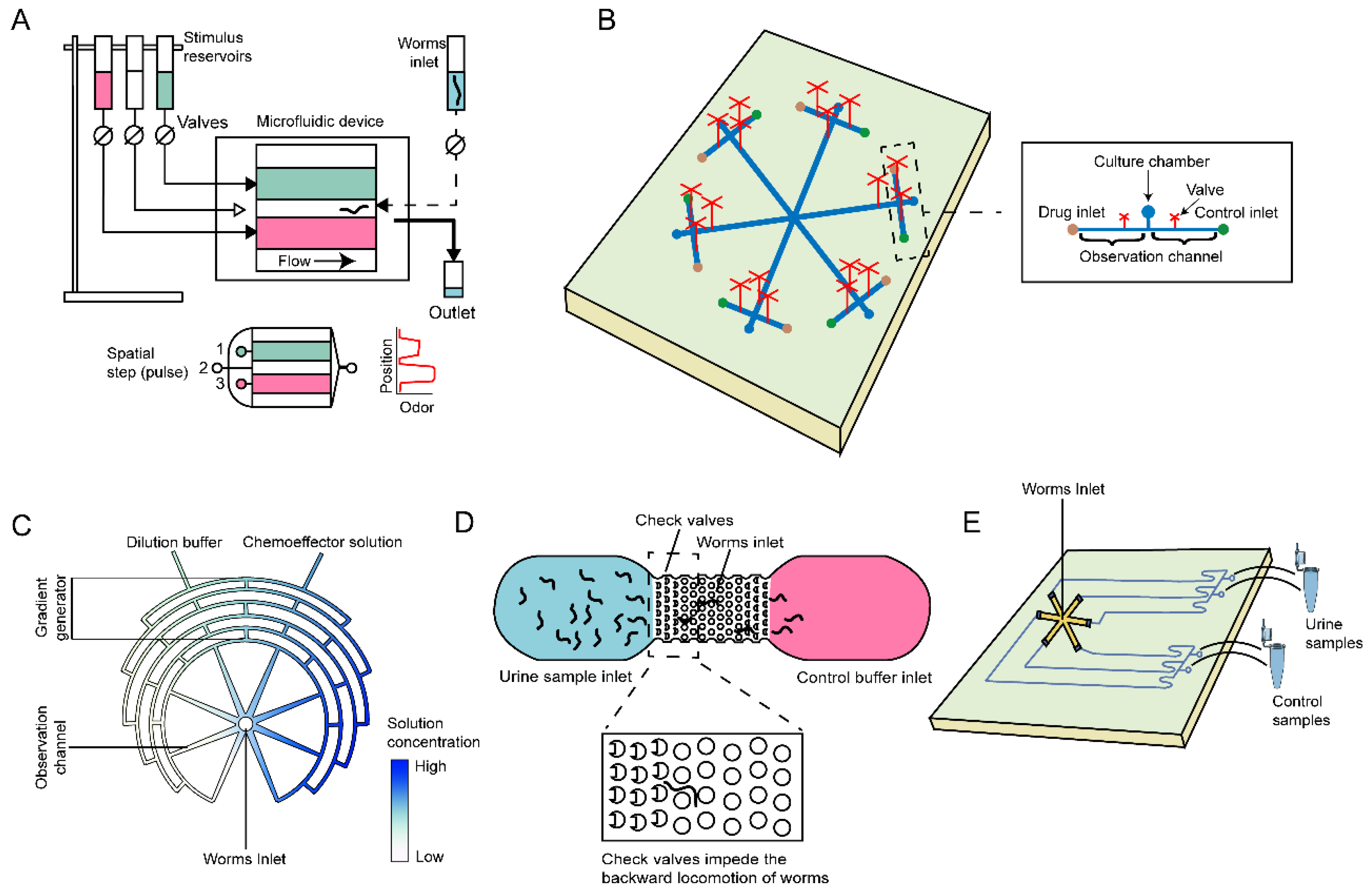 Micromachines 15 00484 g006