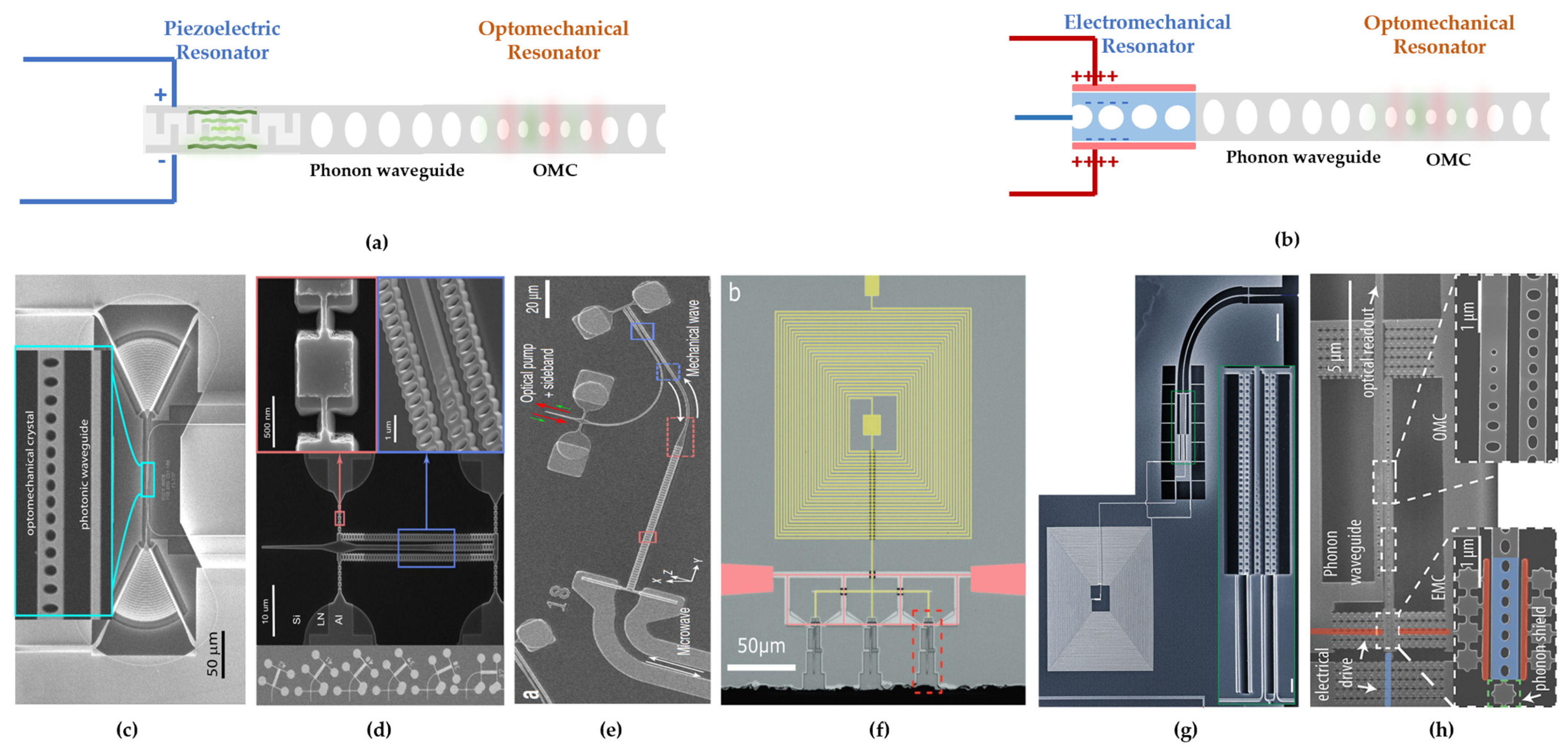 Amazon | Electromagnetic Theory for Microwaves and