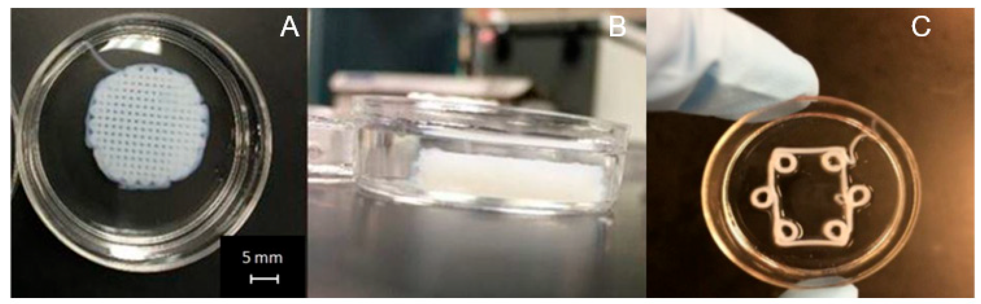 Micromachines 15 00490 g002