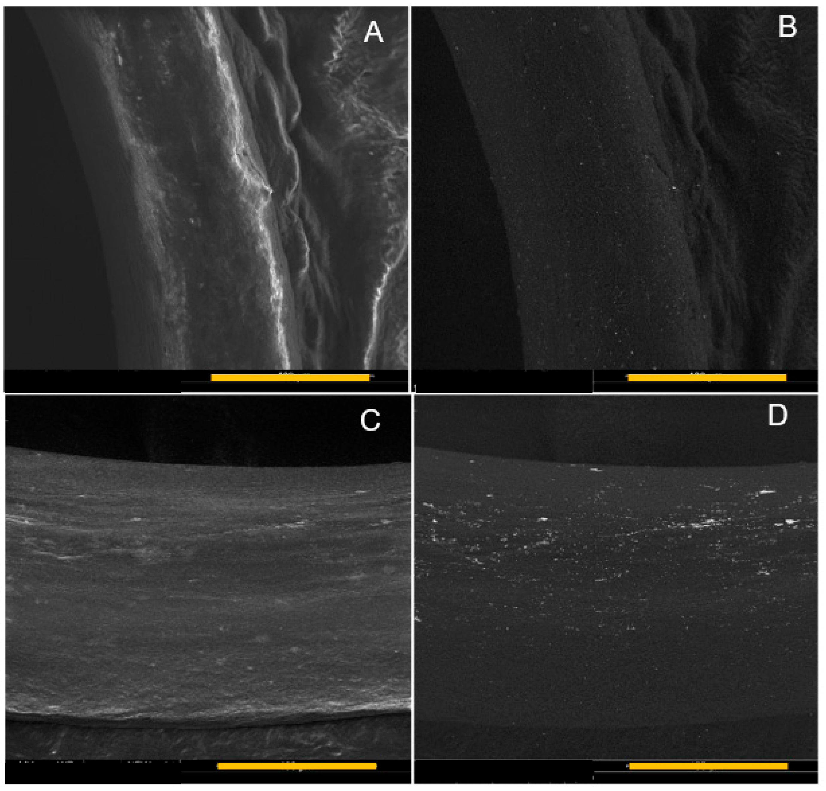 Micromachines 15 00490 g008