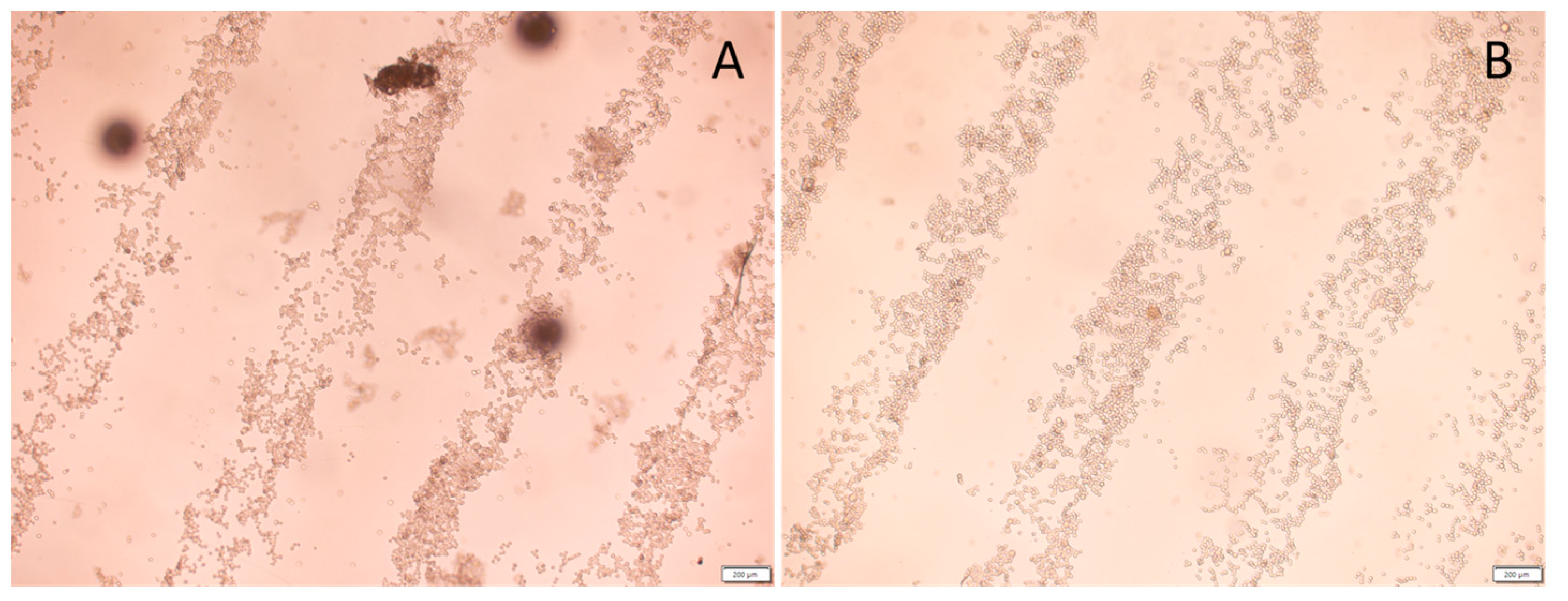 Micromachines 15 00490 g010